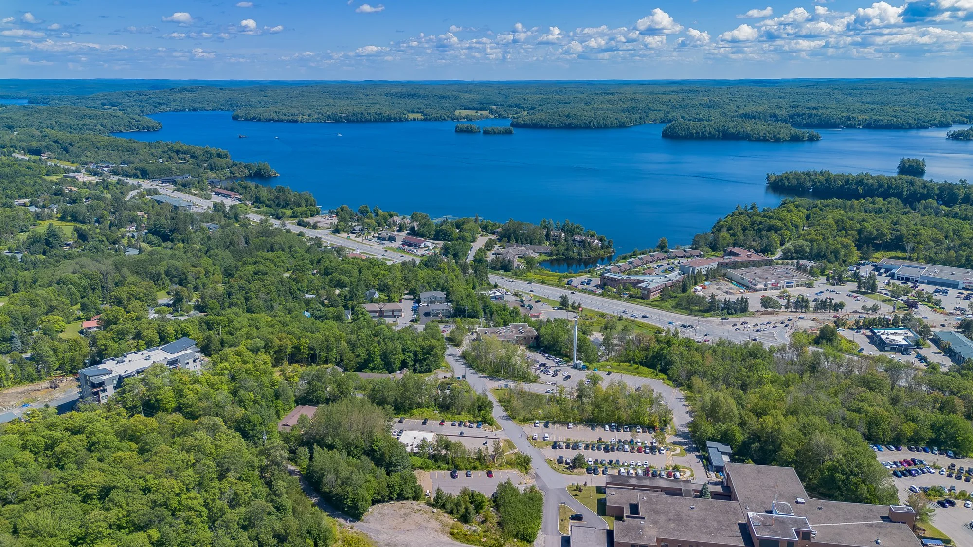 MuskokaForest-15.jpg