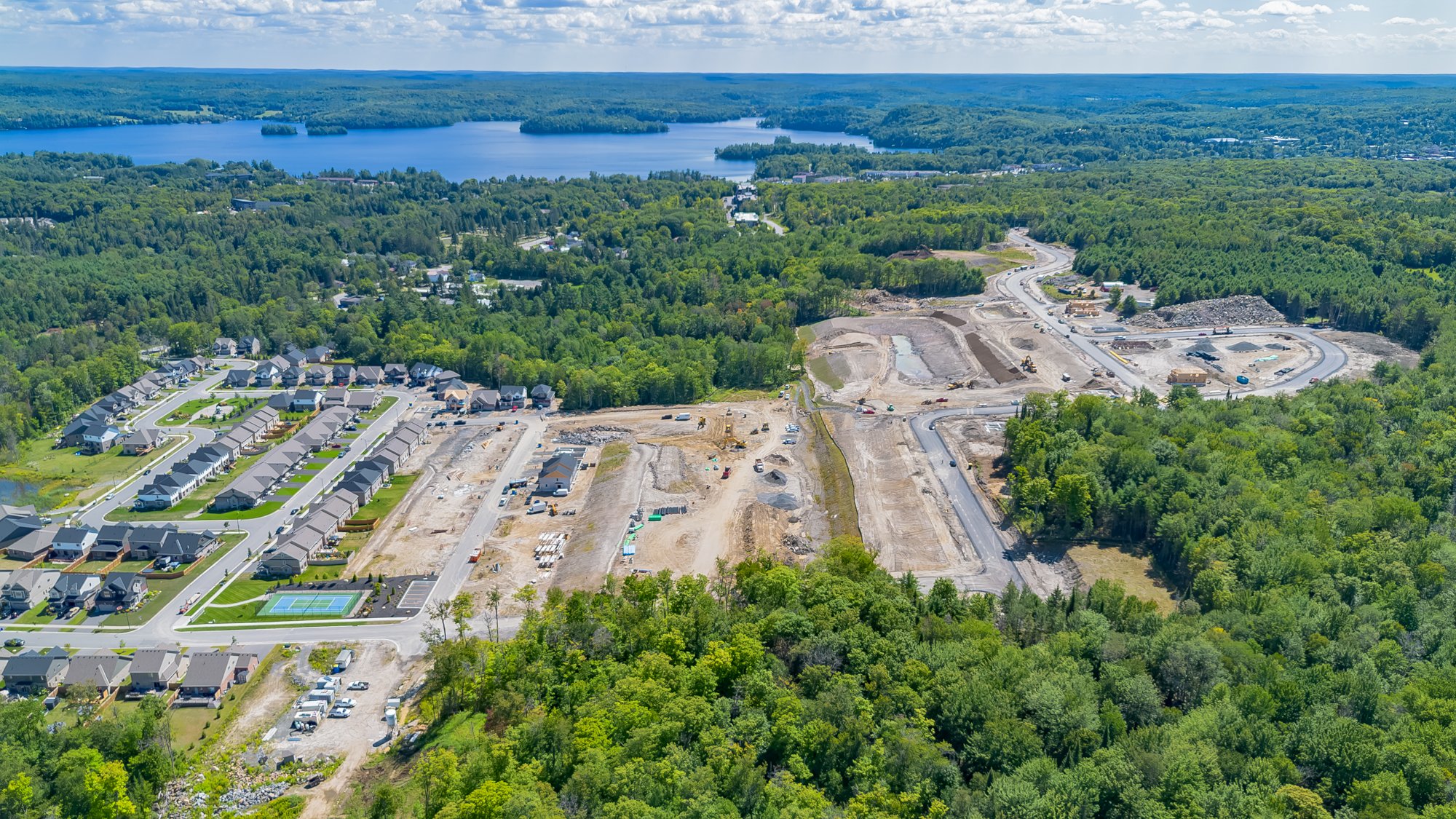 MuskokaForest-1.jpg