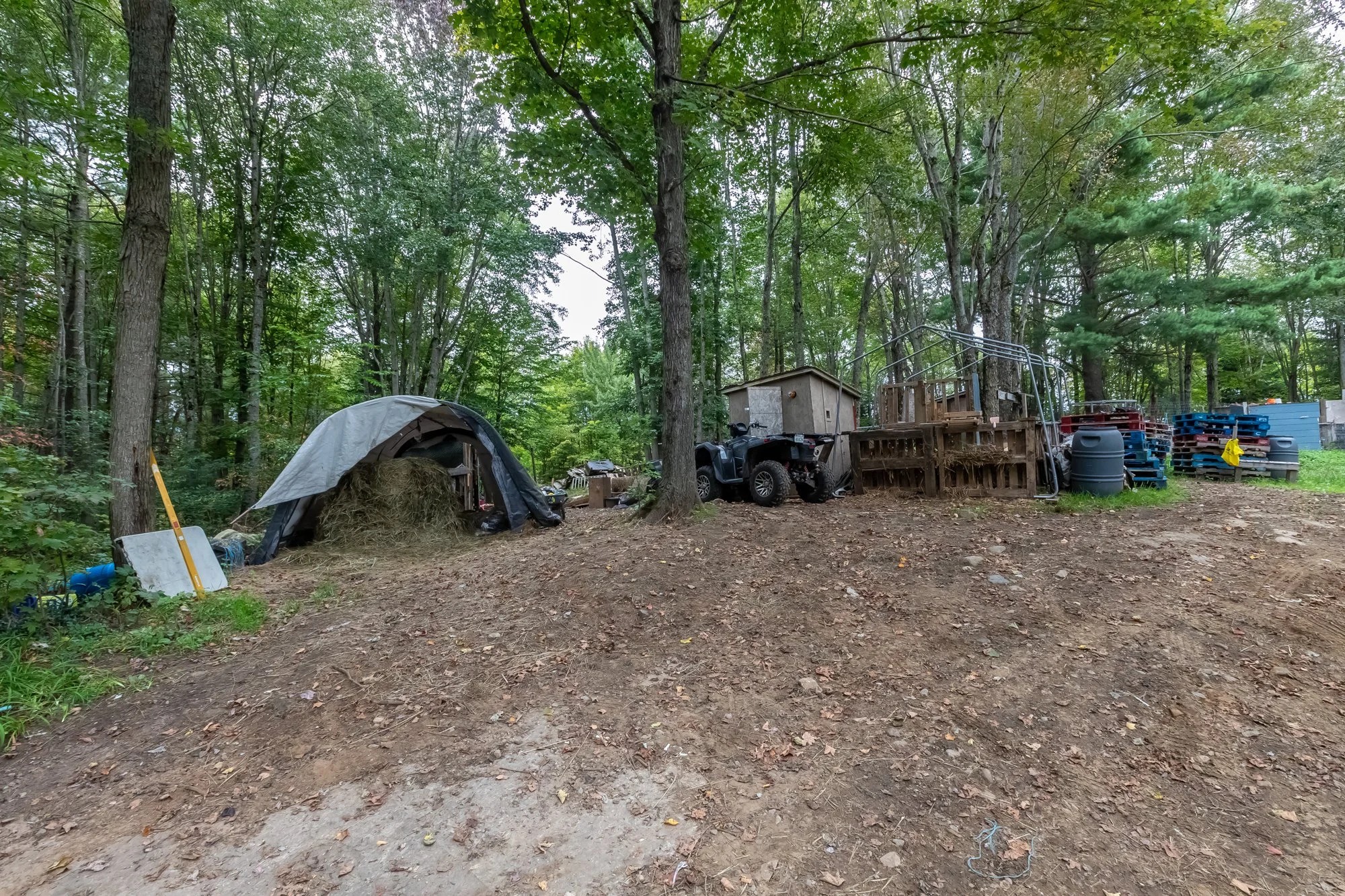 42 Morgan's Road, Huntsville-13.jpg