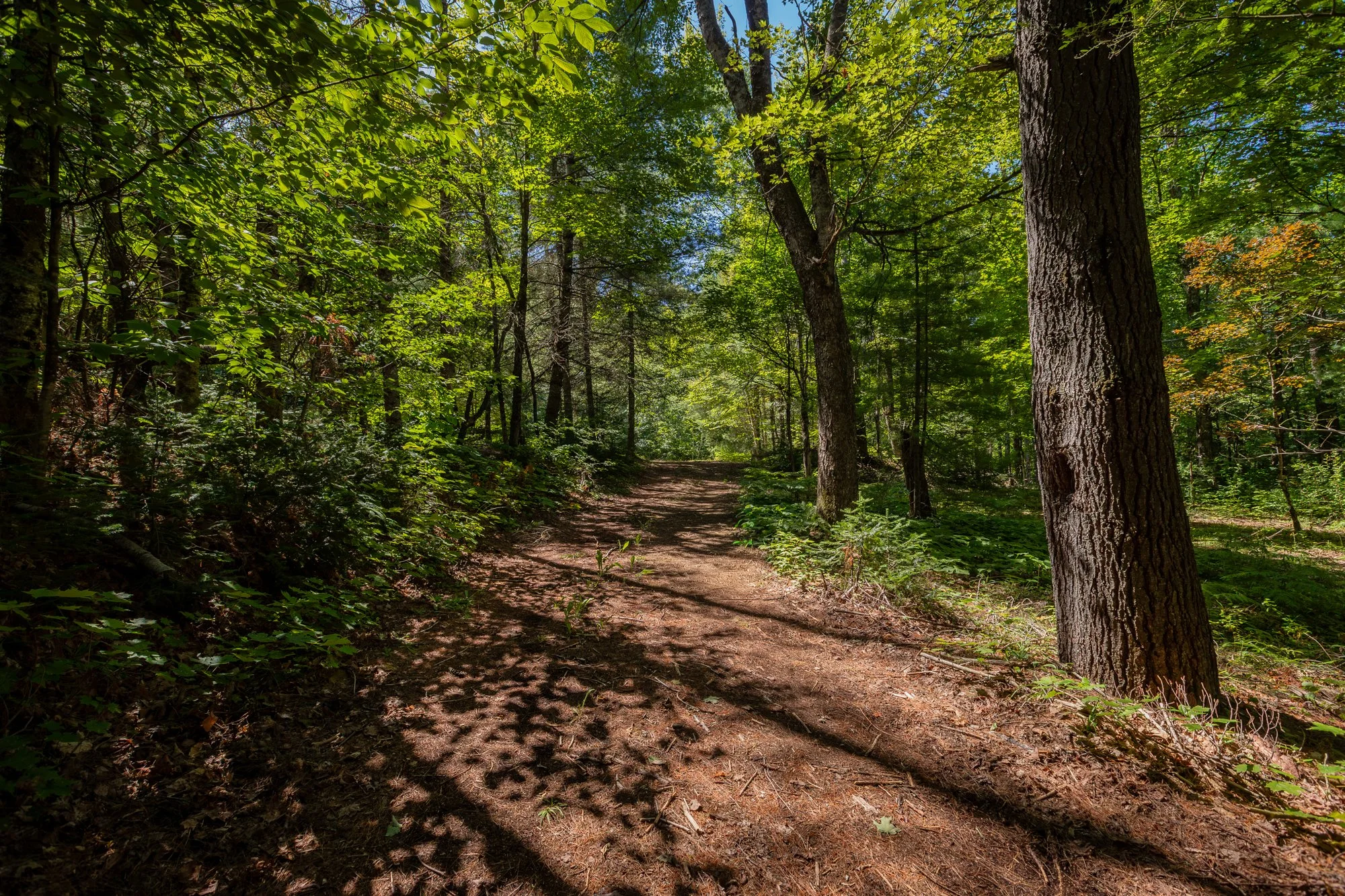 1114 River Haven Road, Bracebridge-6.jpg