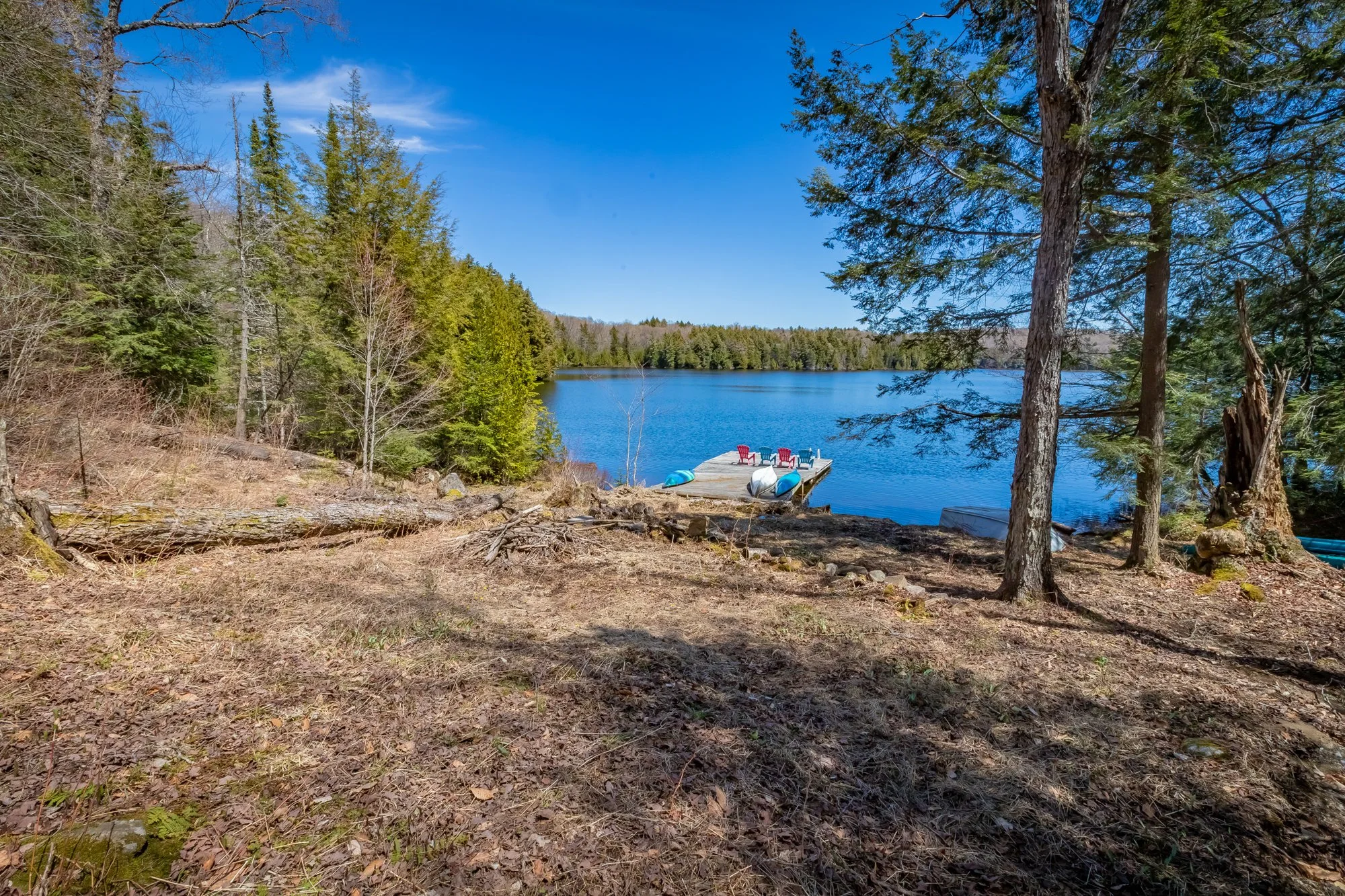 1113 Crobiel Lake Drive, Dorset-49.jpg