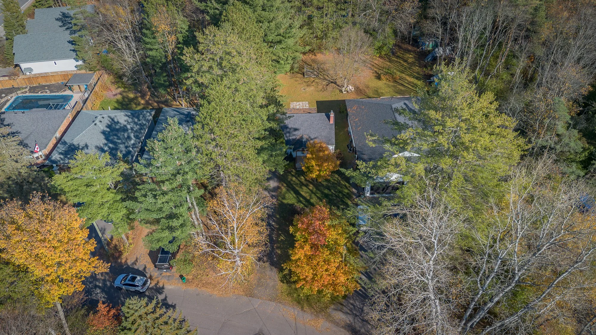 51 Gouldie Street, Huntsville-67.jpg