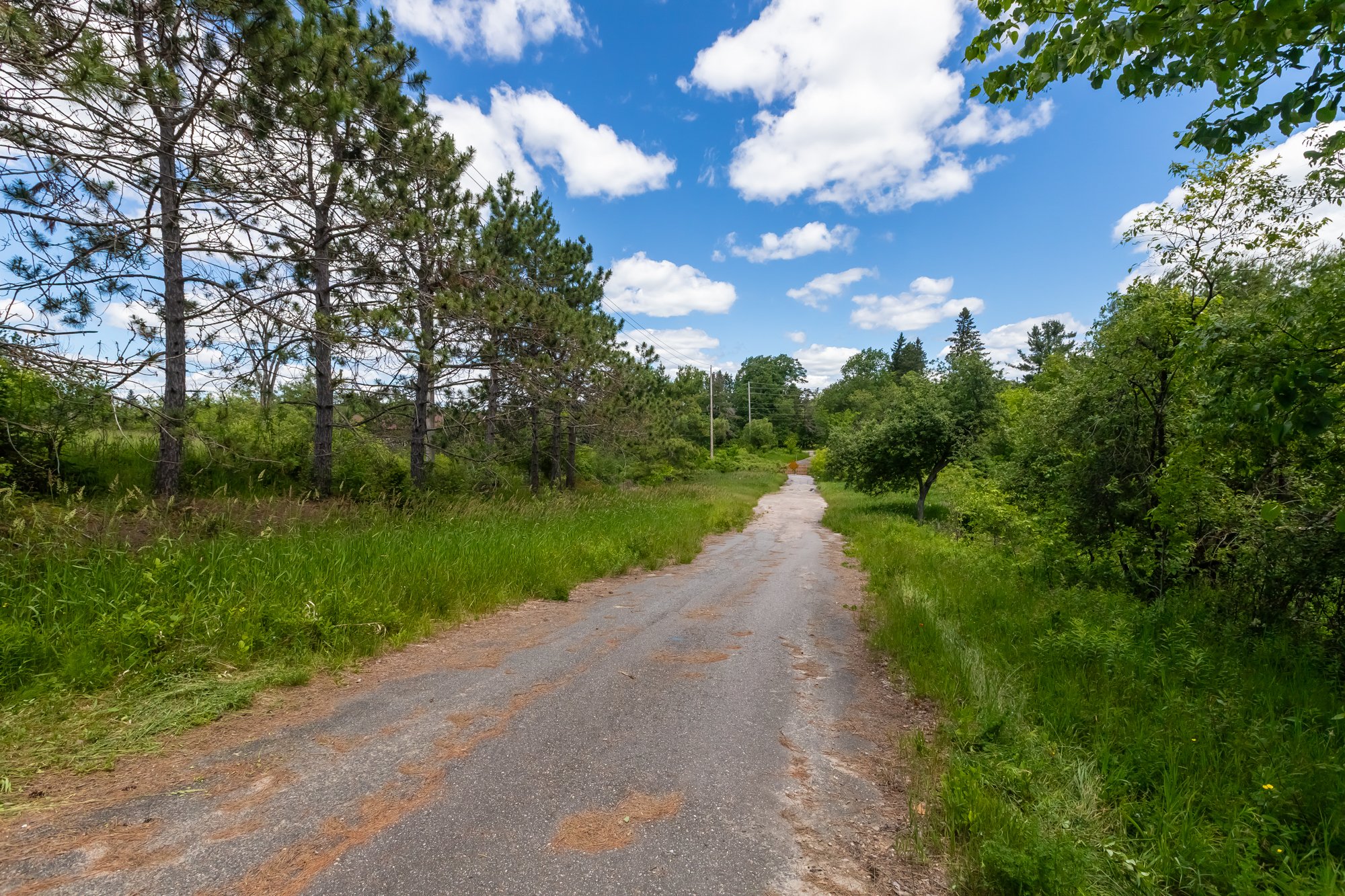 551 Highway 118 West, Bracebridge-13.jpg