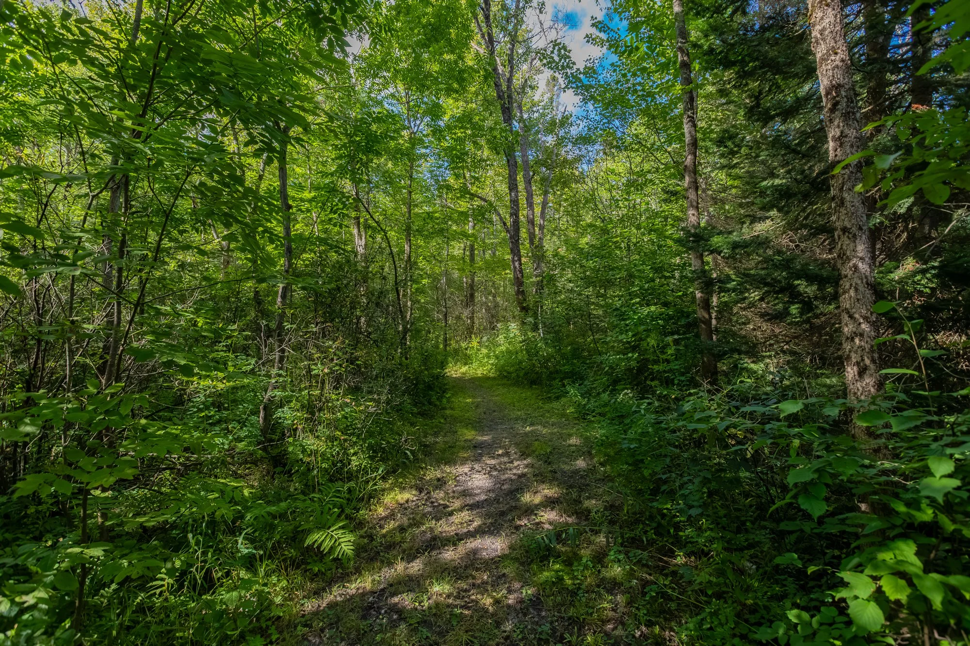 1547 North Pickerel Lake Road, Burk's Falls-42.jpg