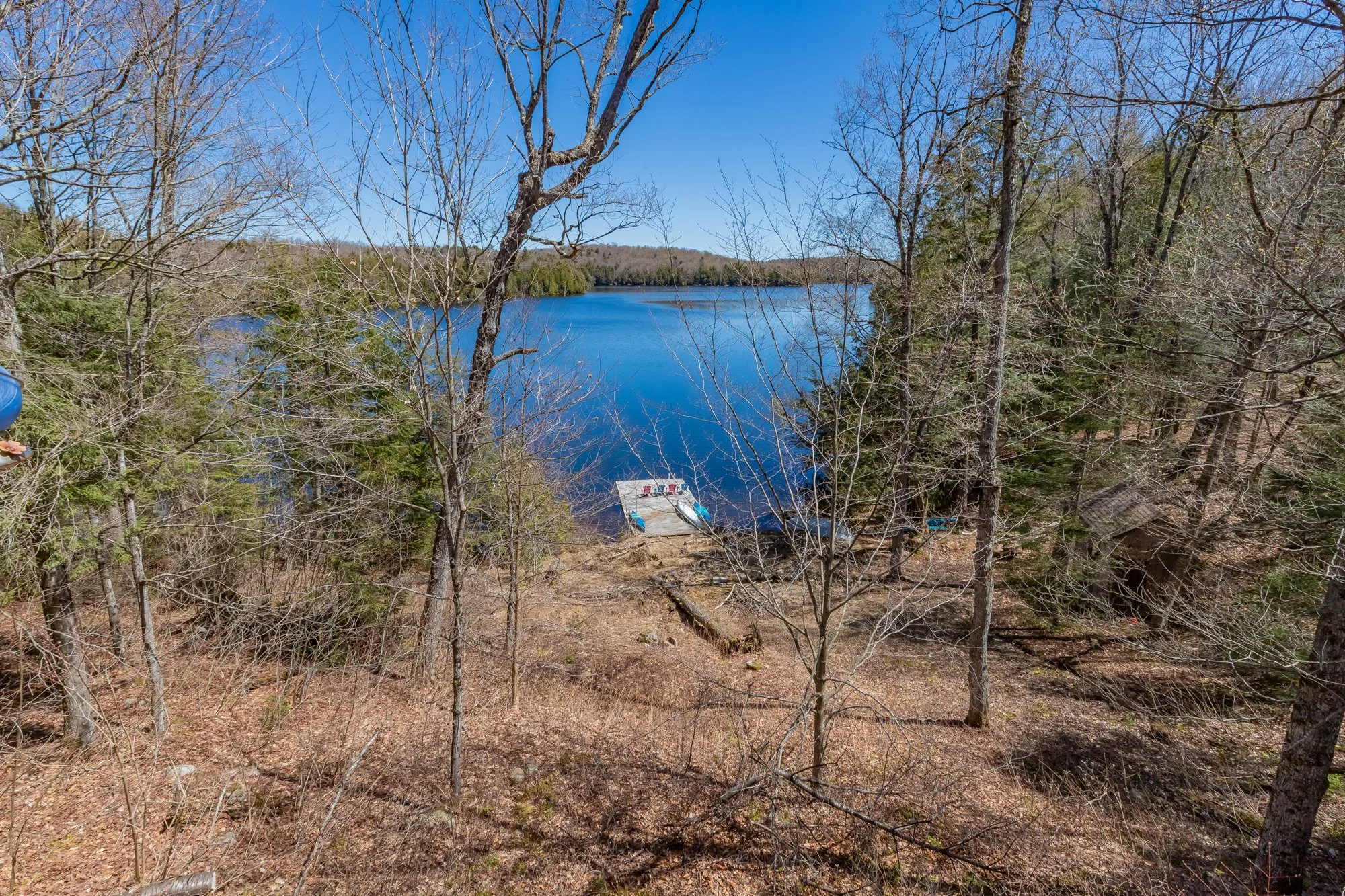 1113 Crobiel Lake Drive, Dorset-39.jpg
