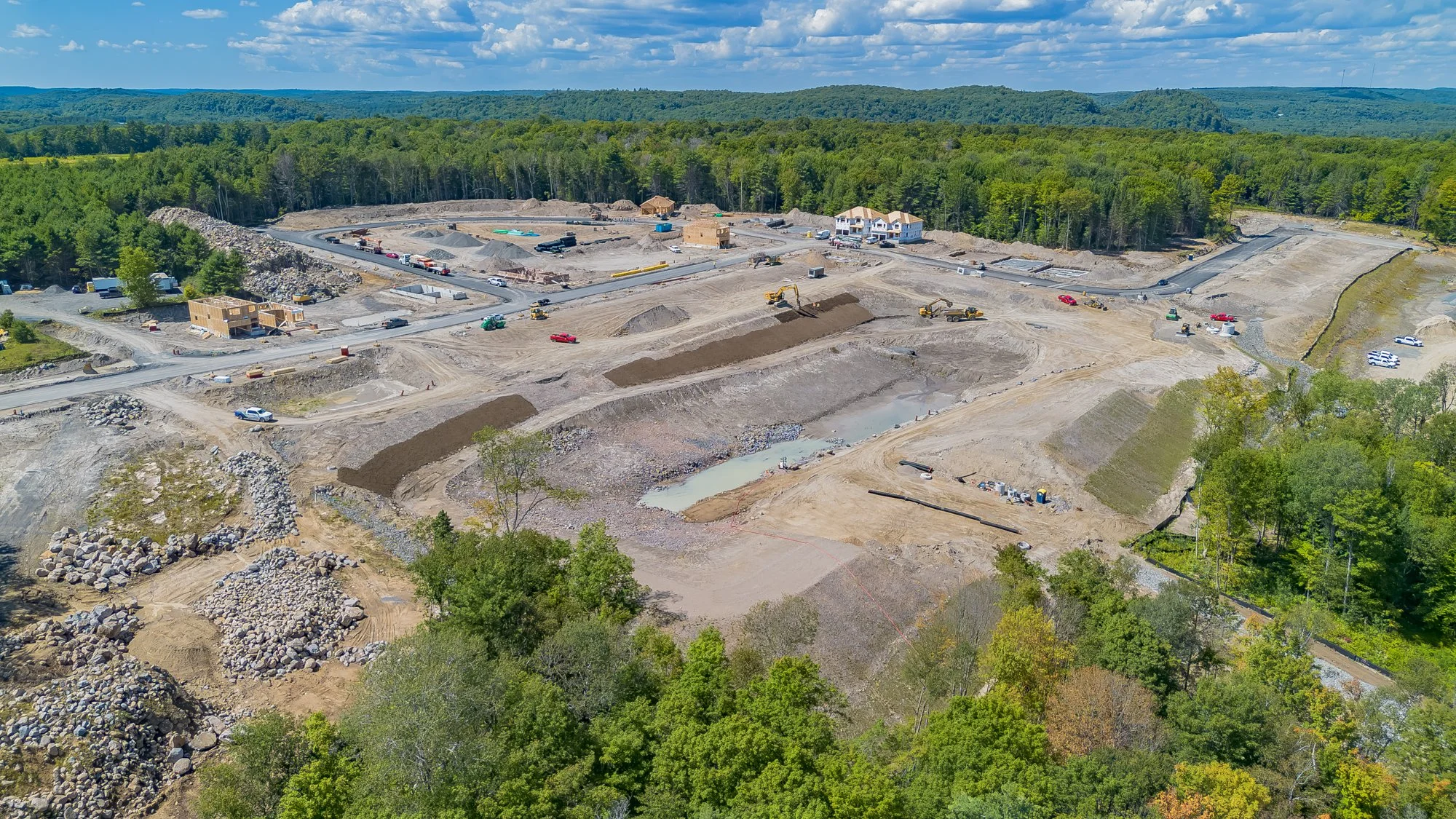 MuskokaForest-11.jpg