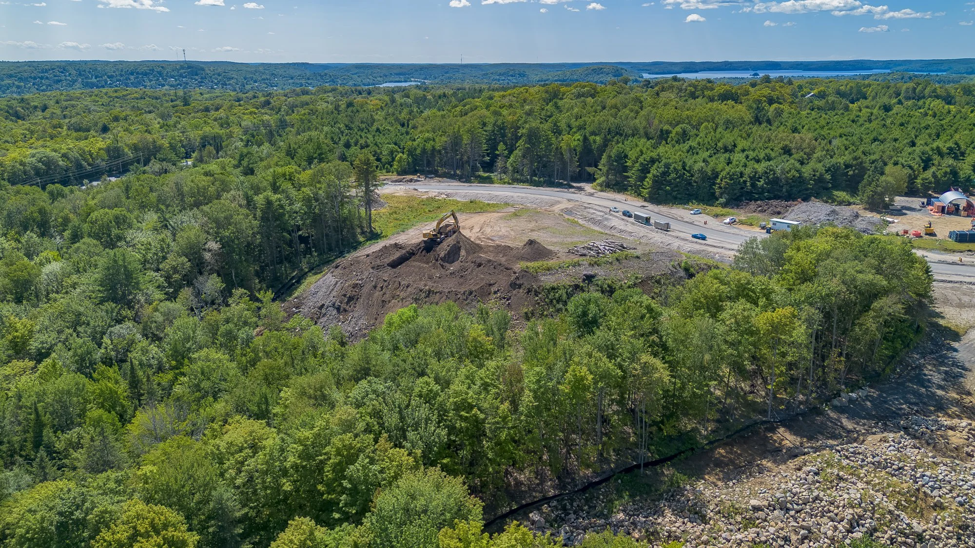 MuskokaForest-12.jpg