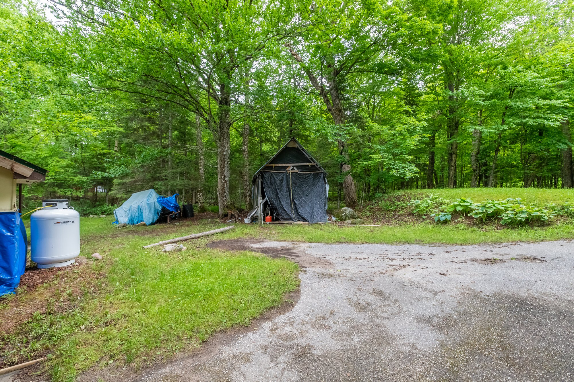 339 Sunnylea Avenue, Katrine-9.jpg