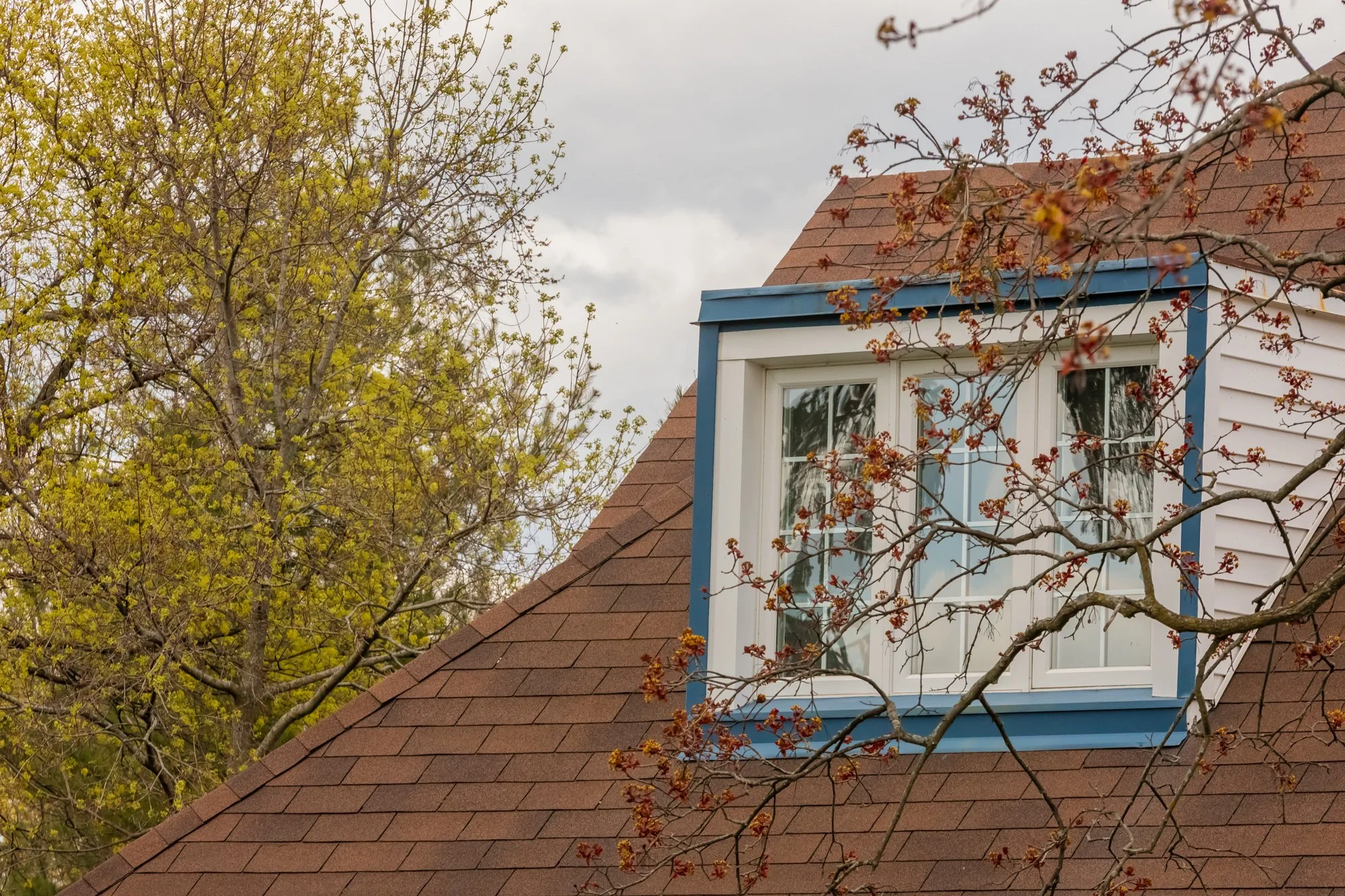 724 Lake Drive North, Roches Point-153.jpg