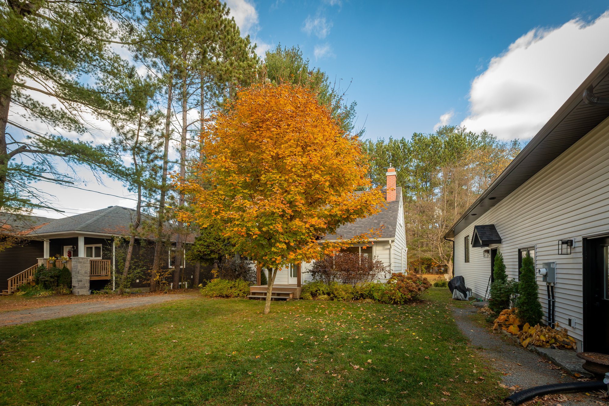 51 Gouldie Street, Huntsville-7.jpg