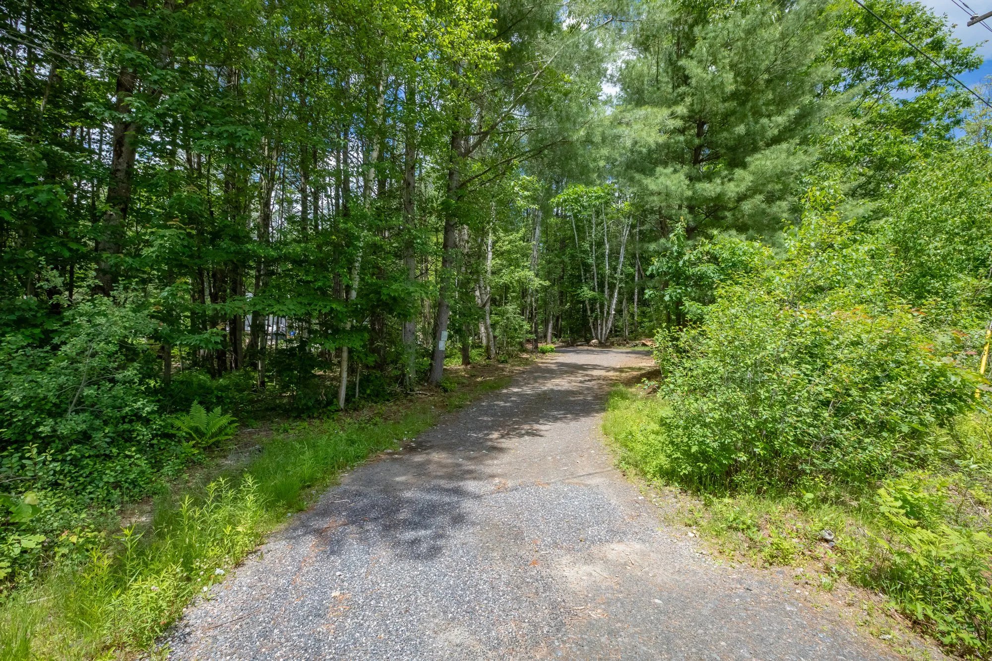 1219 Medora Lake Road, Bala-2.jpg