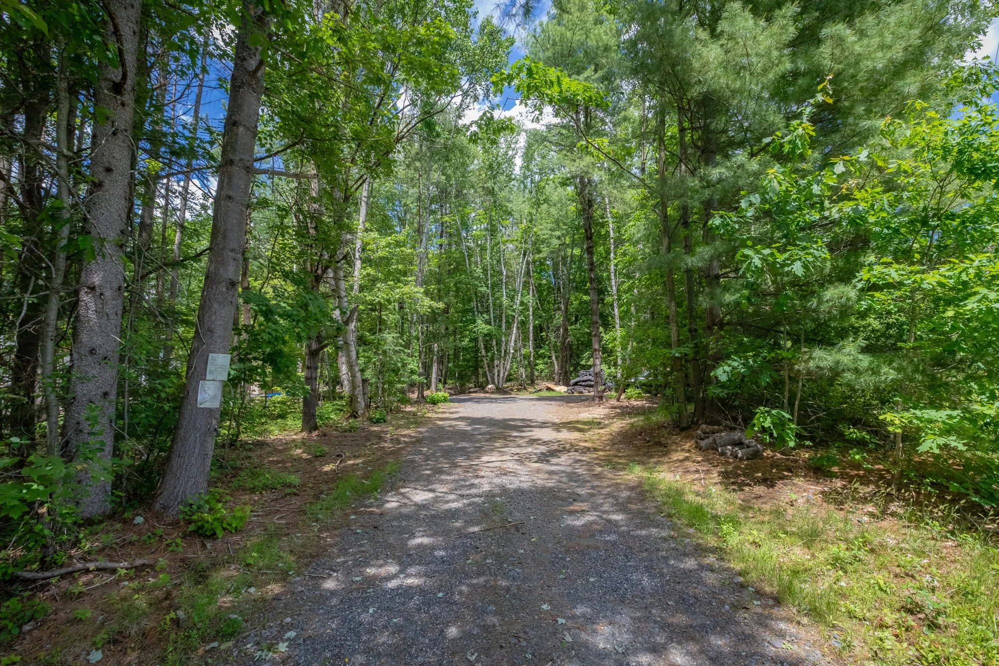 1219 Medora Lake Road, Bala-3.jpg