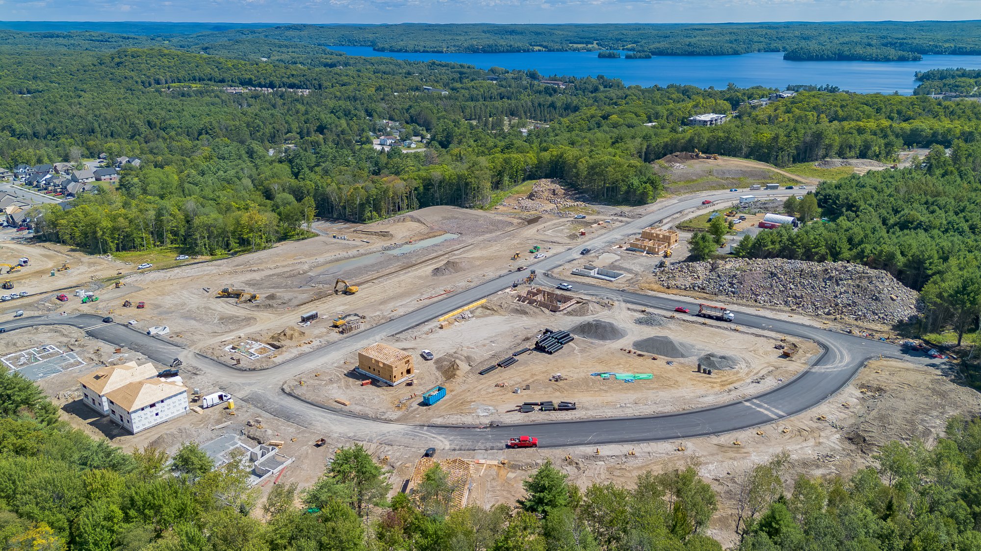 MuskokaForest-6.jpg