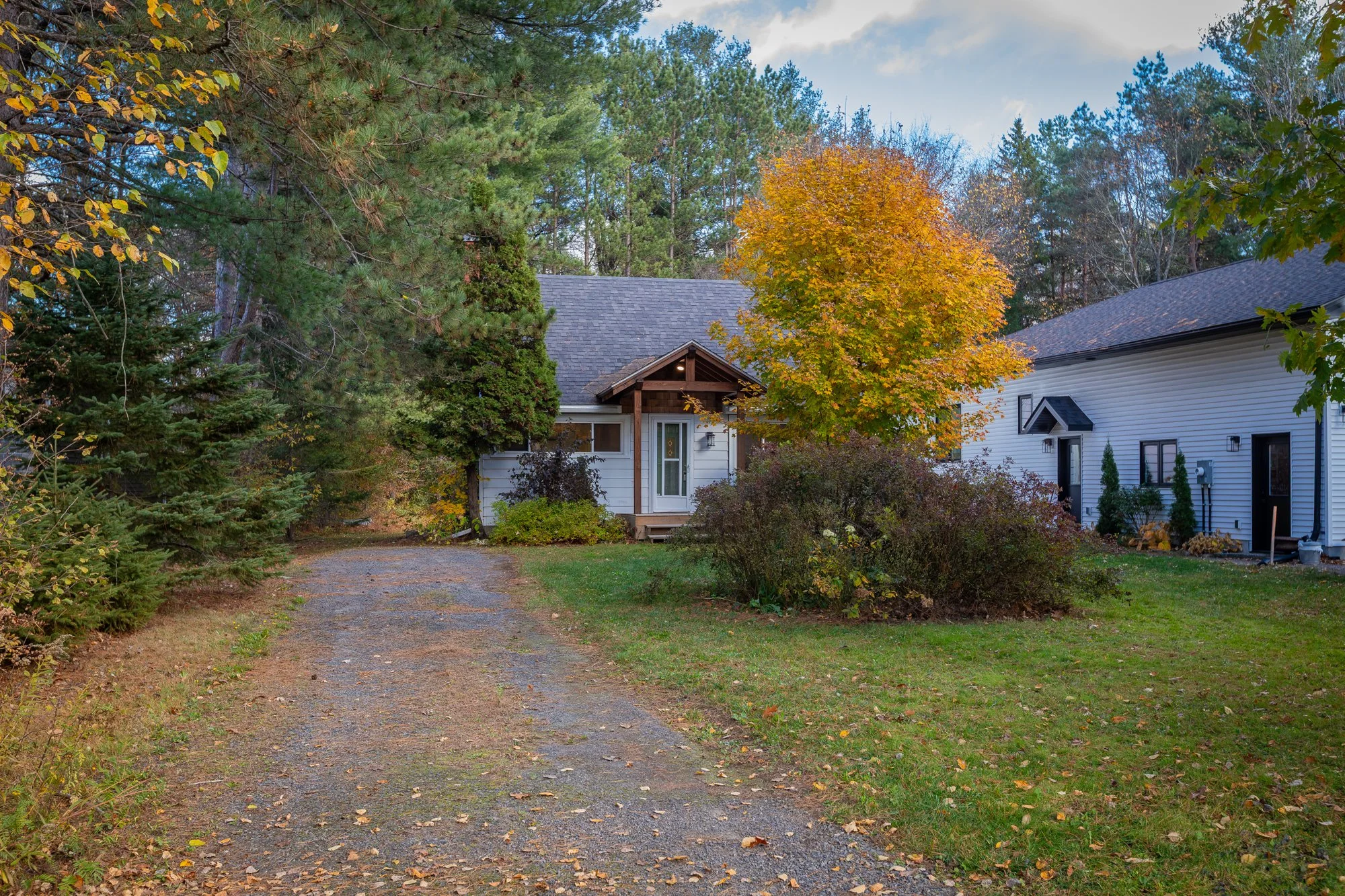 51 Gouldie Street, Huntsville-2.jpg