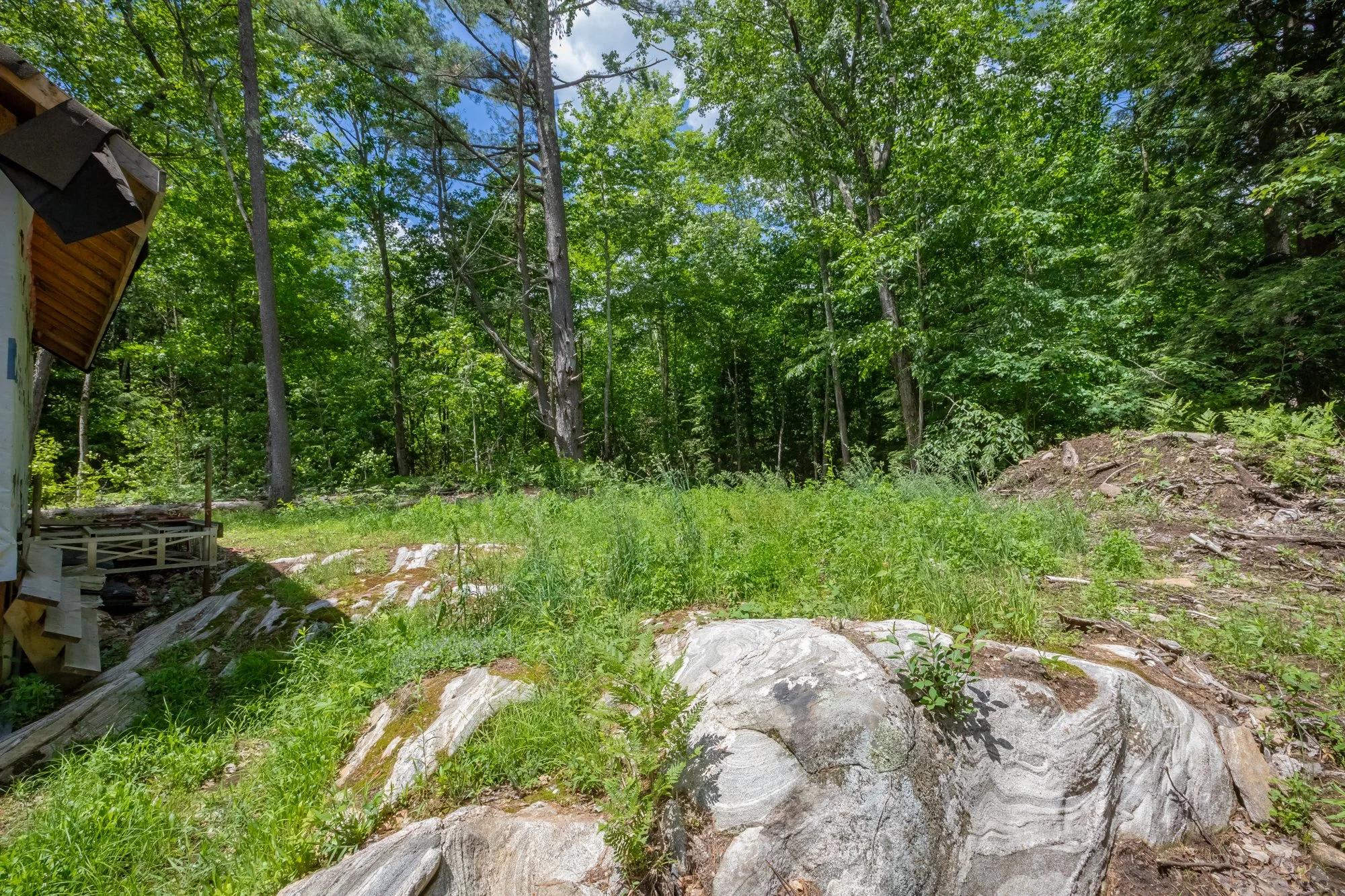 1219 Medora Lake Road, Bala-17.jpg