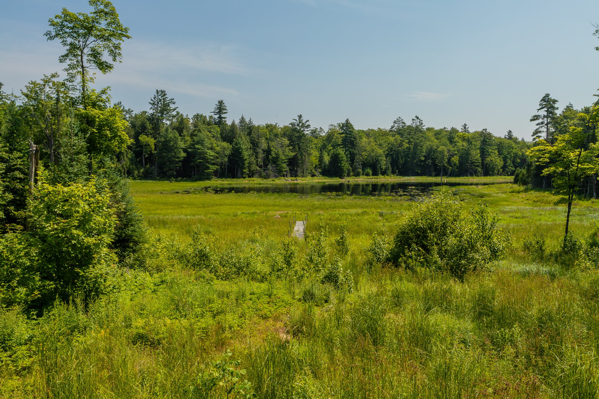 1289 Purbrook Road, Bracebridge-37.jpg