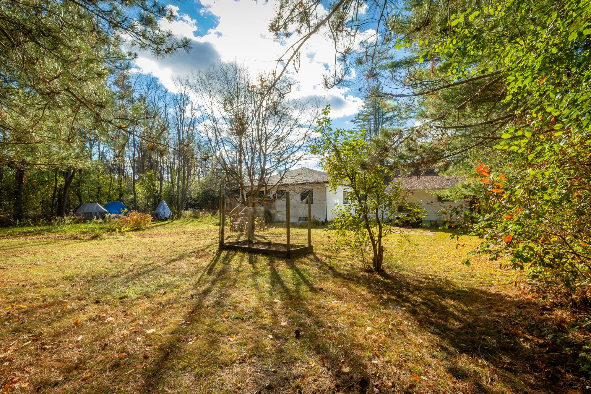 51 Gouldie Street, Huntsville-29.jpg