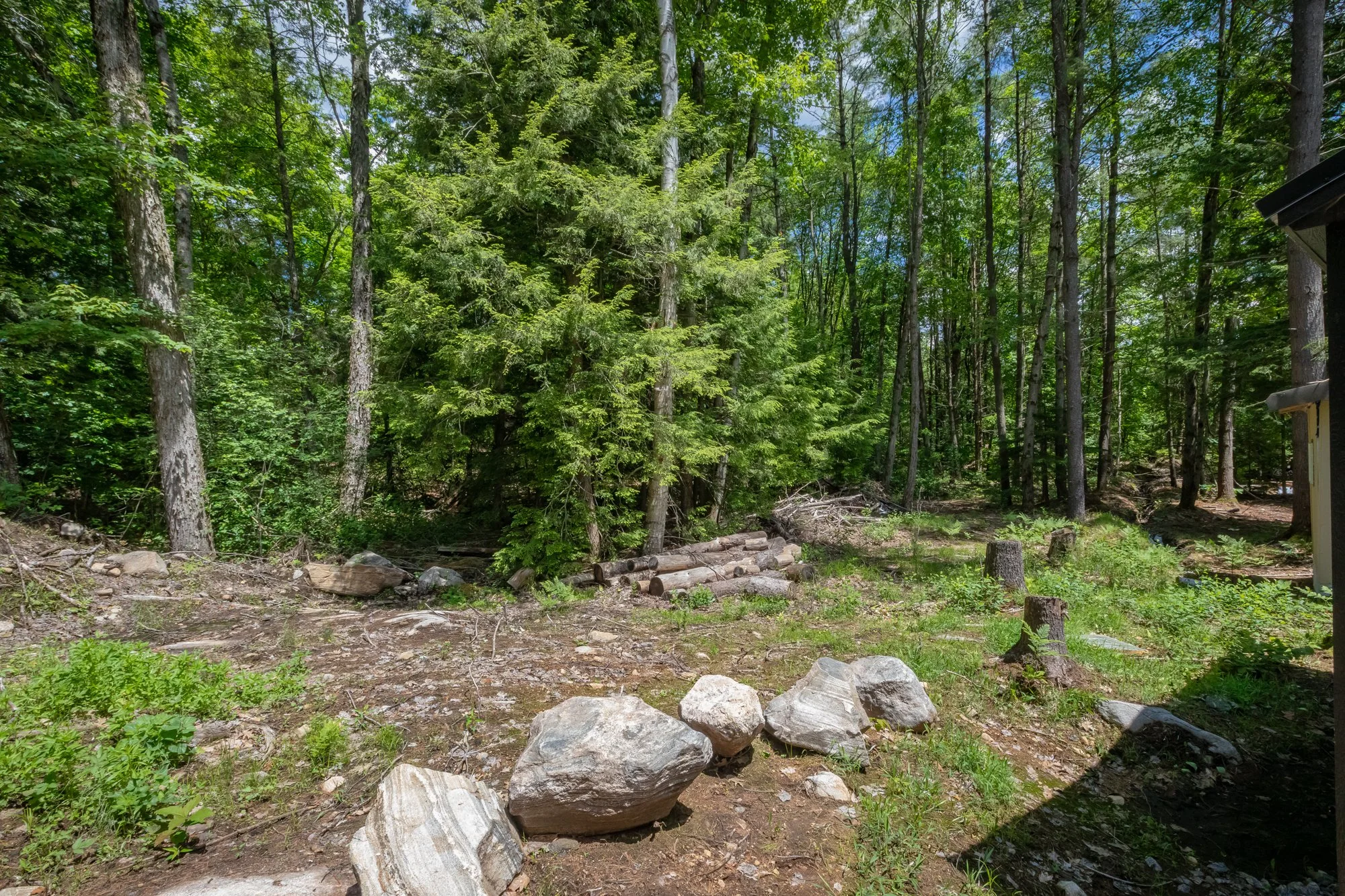 1219 Medora Lake Road, Bala-18.jpg
