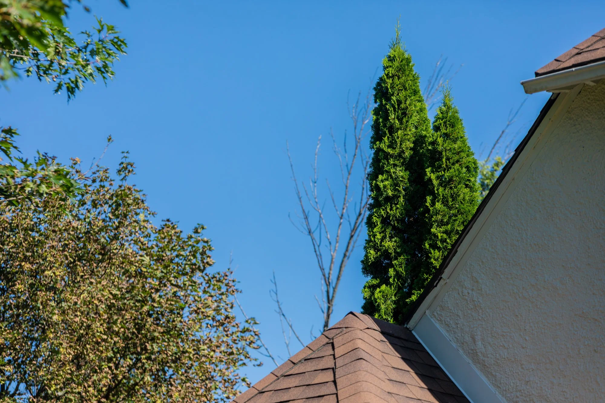 724 Lake Drive North - Summer Update-63.jpg