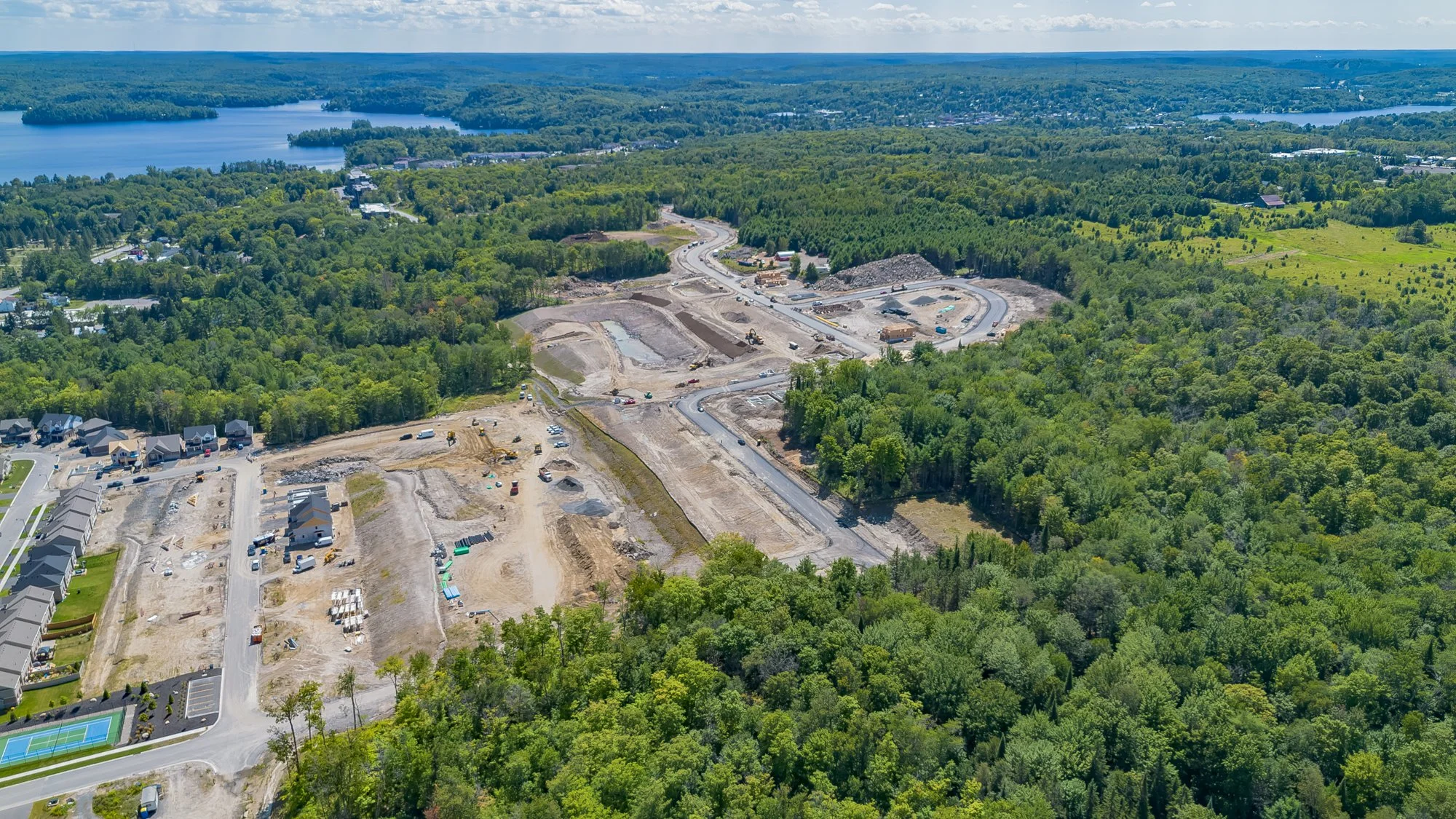 MuskokaForest-2.jpg