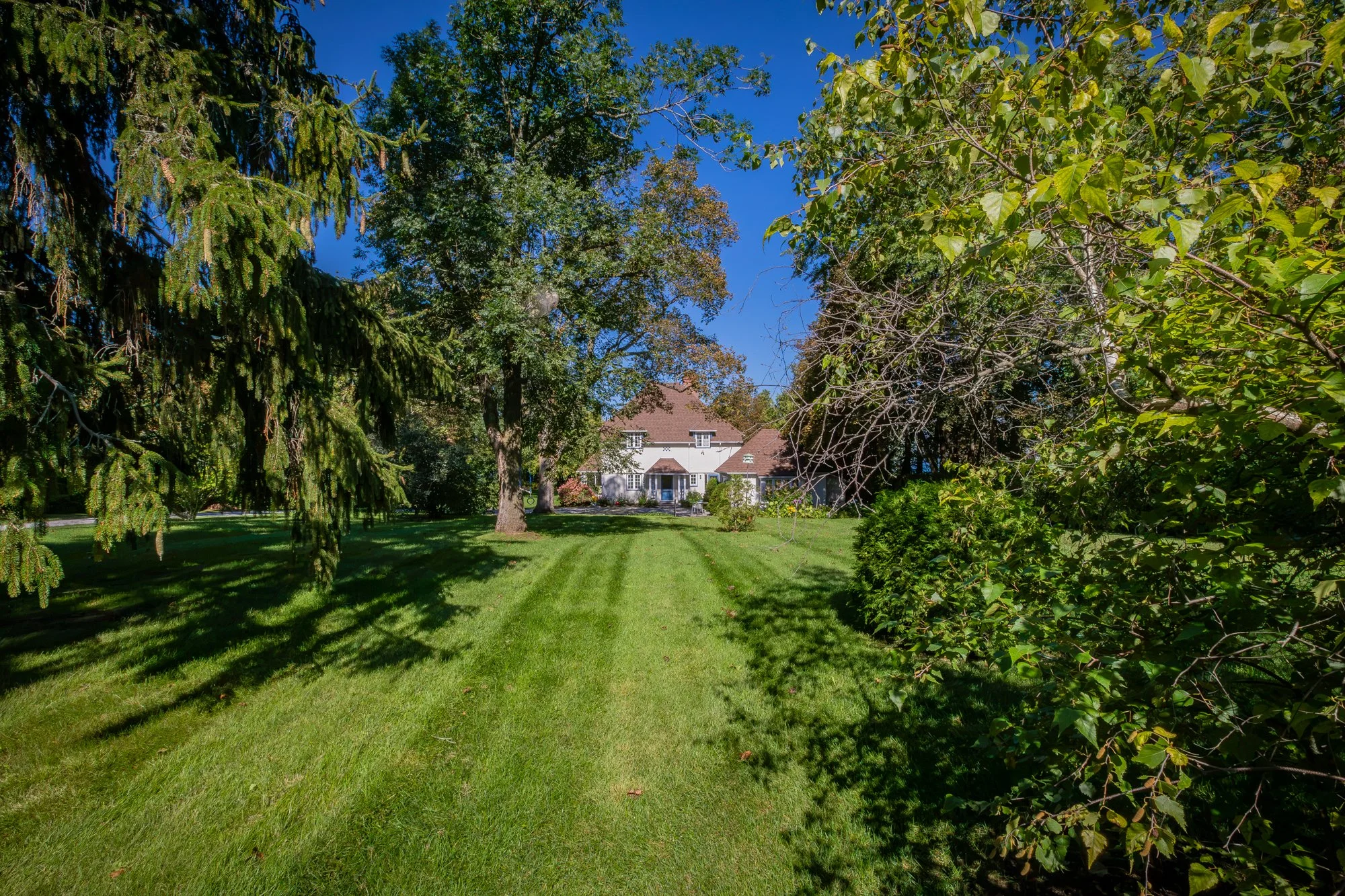 724 Lake Drive North - Summer Update-47.jpg
