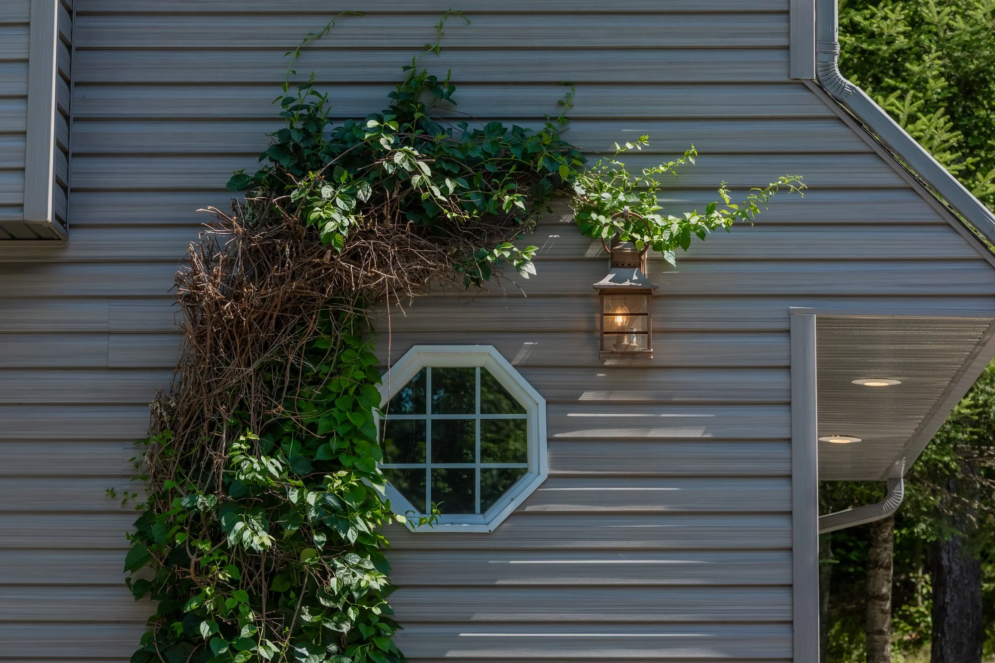 78 Jeffrey Road, Township of Lount-116.jpg