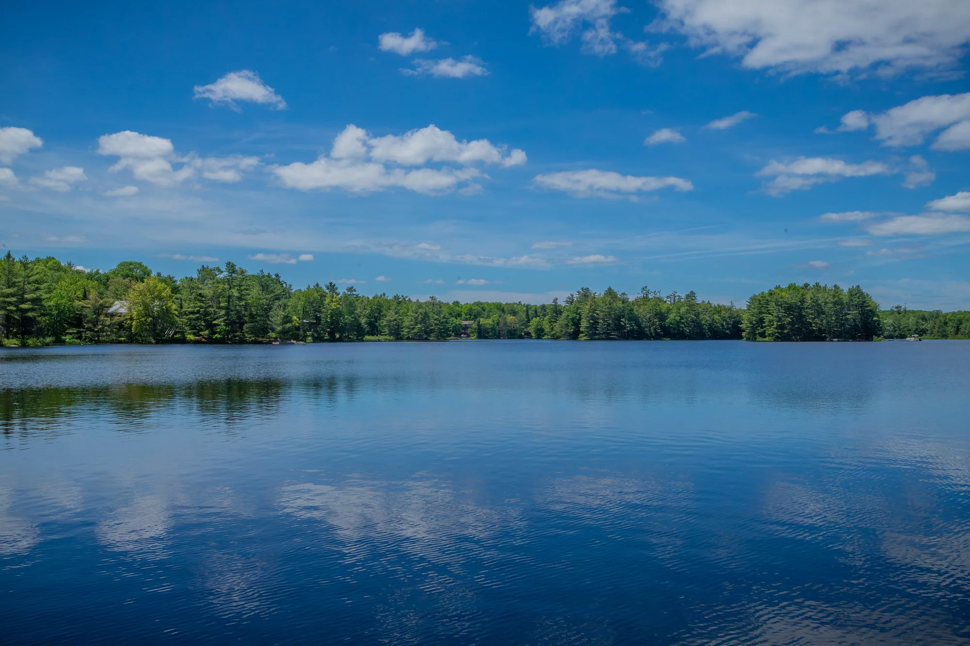 1077 Misty Lane, Gravenhurst-72.jpg