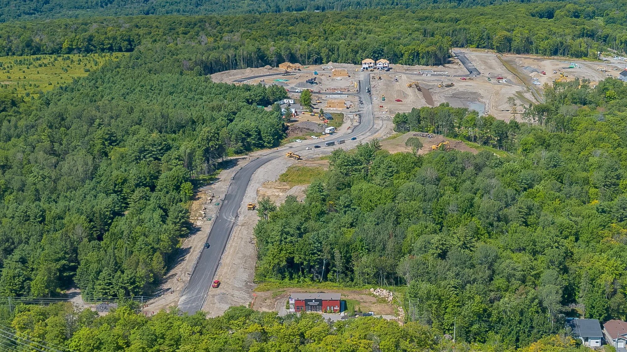 MuskokaForest-10.jpg