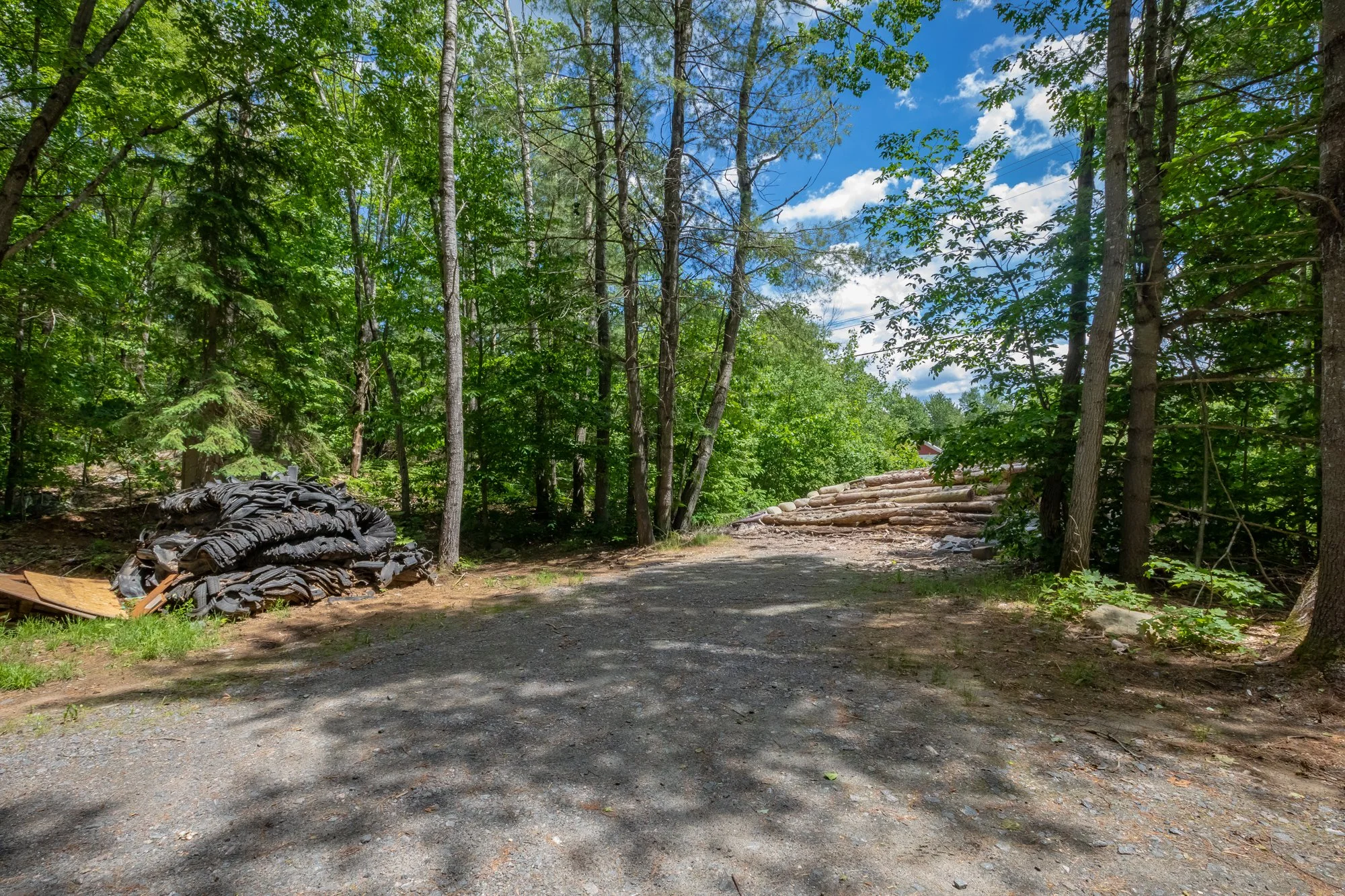 1219 Medora Lake Road, Bala-4.jpg