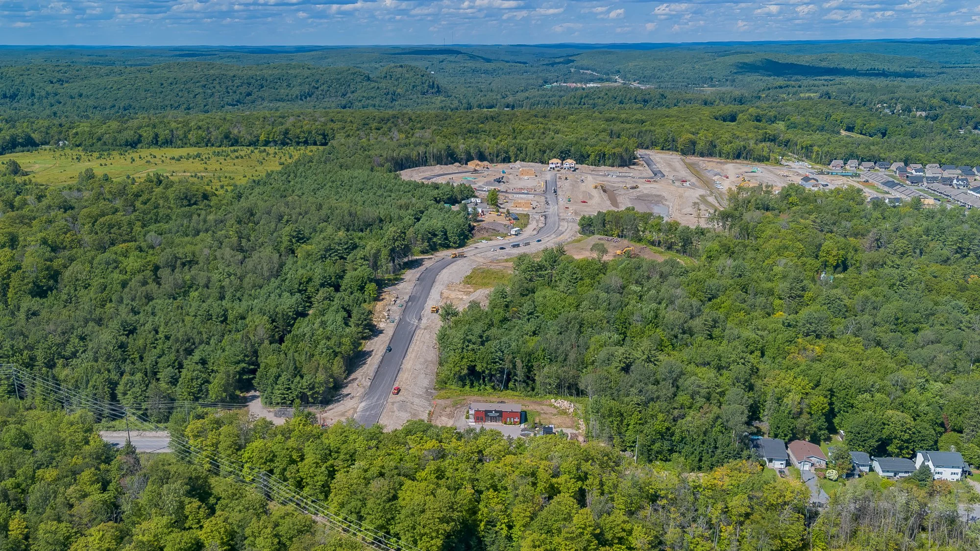 MuskokaForest-9.jpg