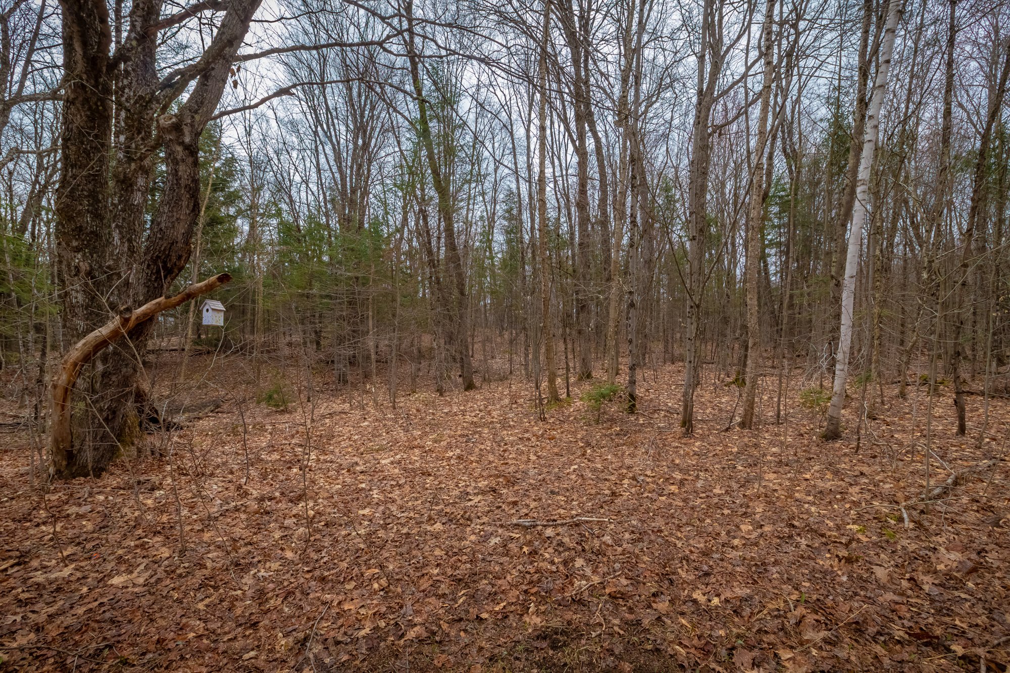3016 Highway 118-42.jpg