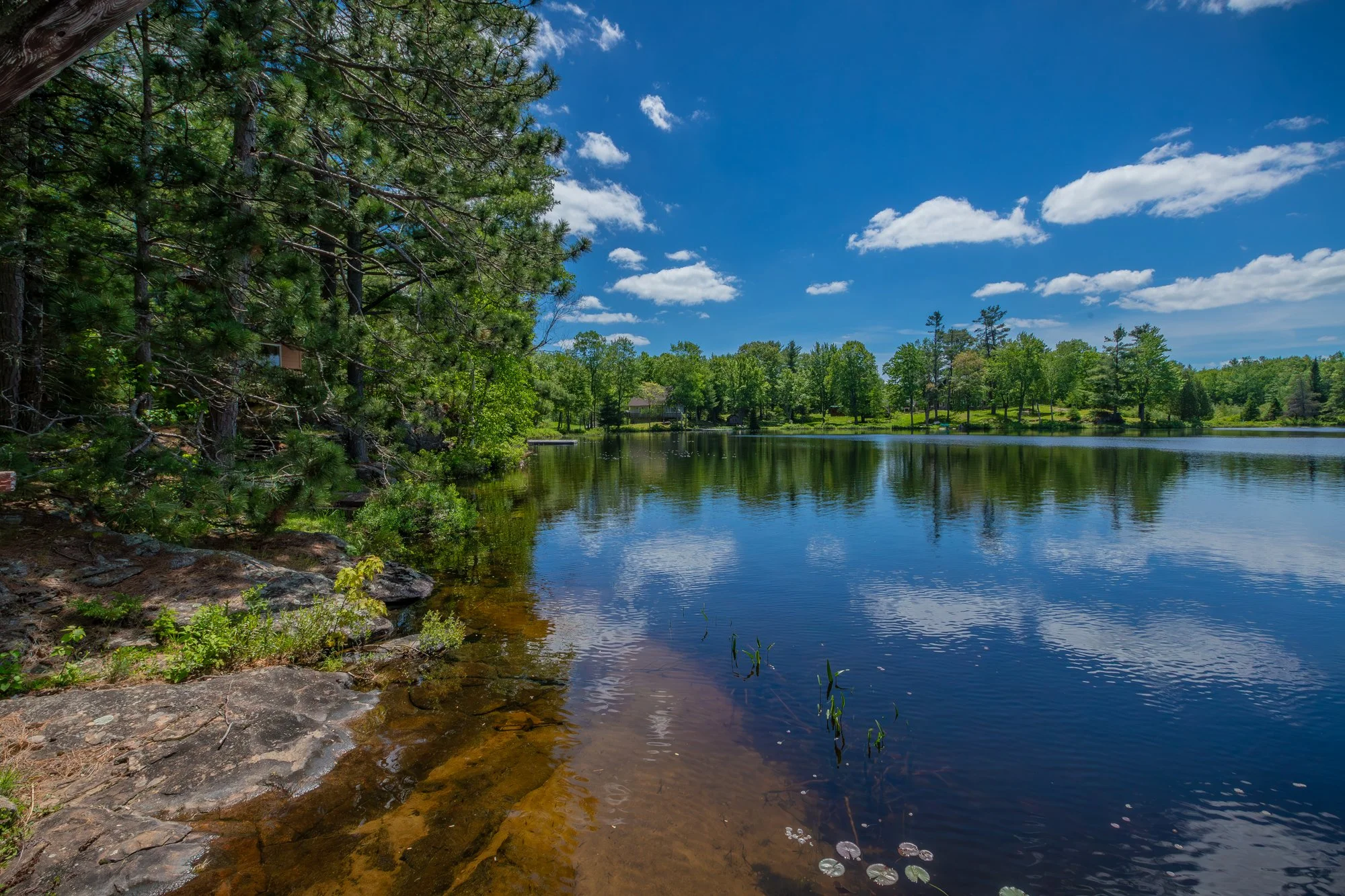 1077 Misty Lane, Gravenhurst-66.jpg