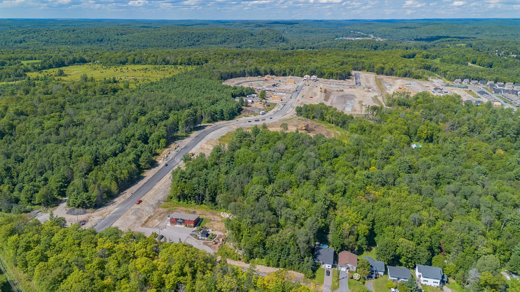 MuskokaForest-19.jpg