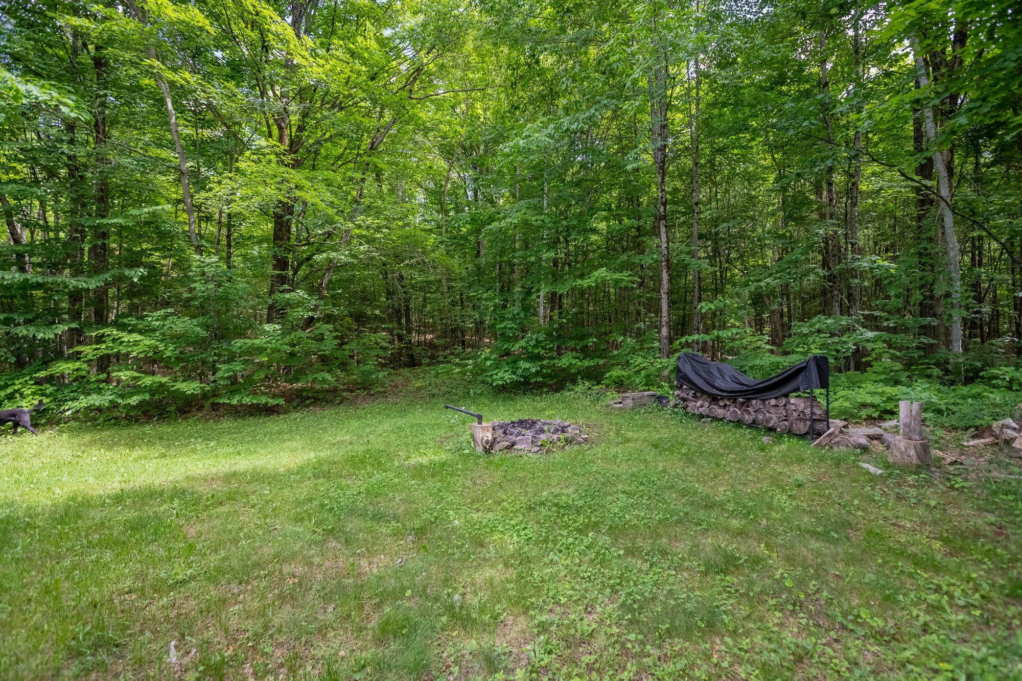 3016 Highway 118 East, Bracebridge-21.jpg