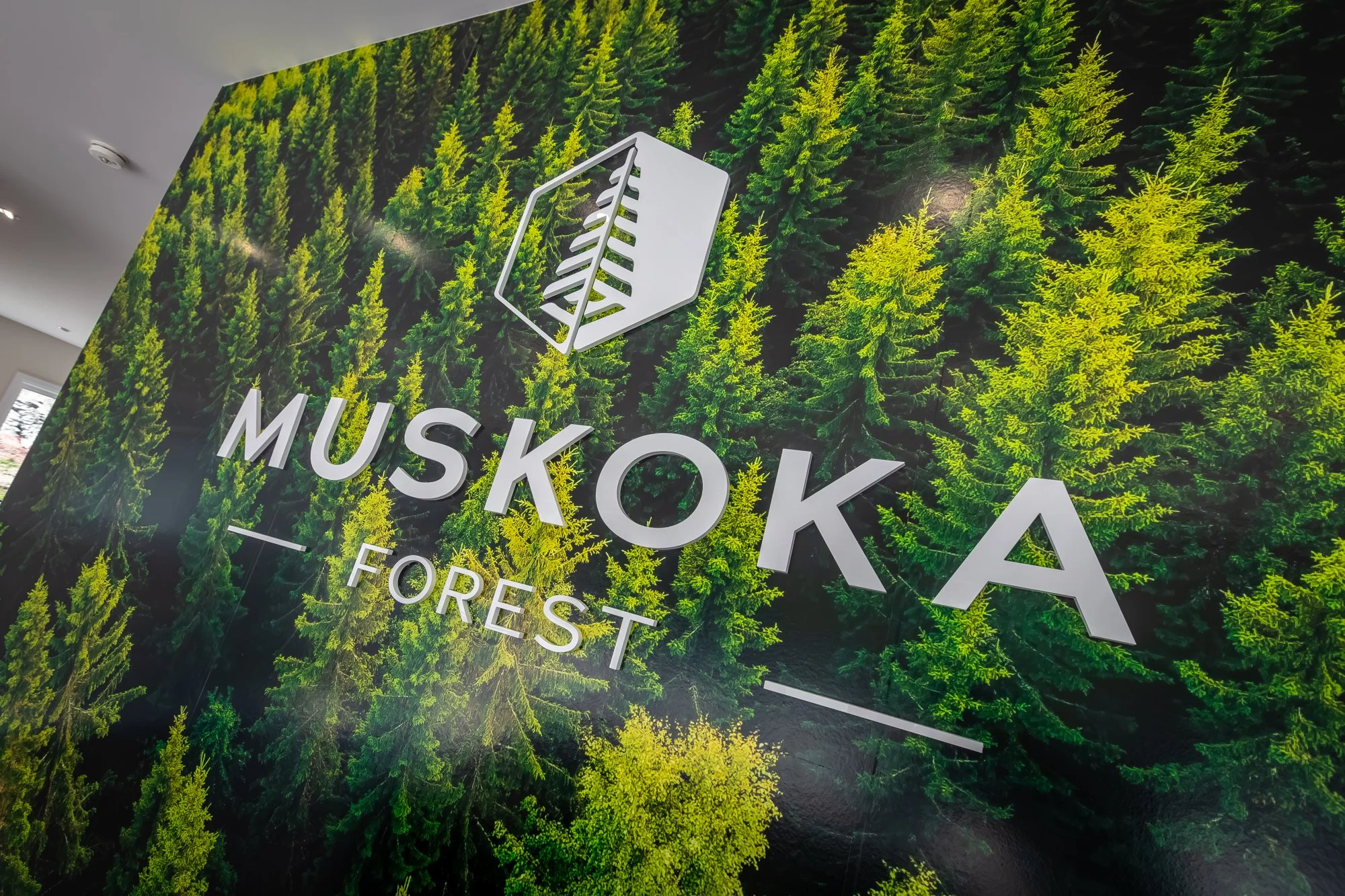MuskokaForest-31.jpg