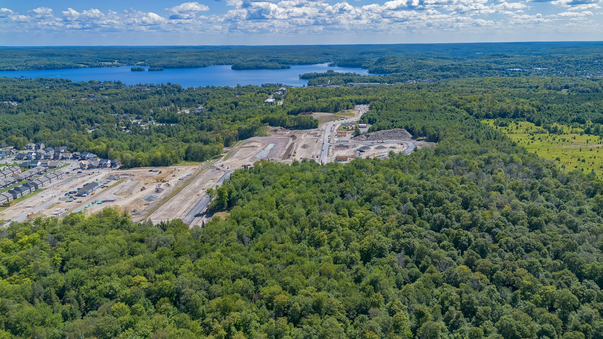 MuskokaForest-3.jpg