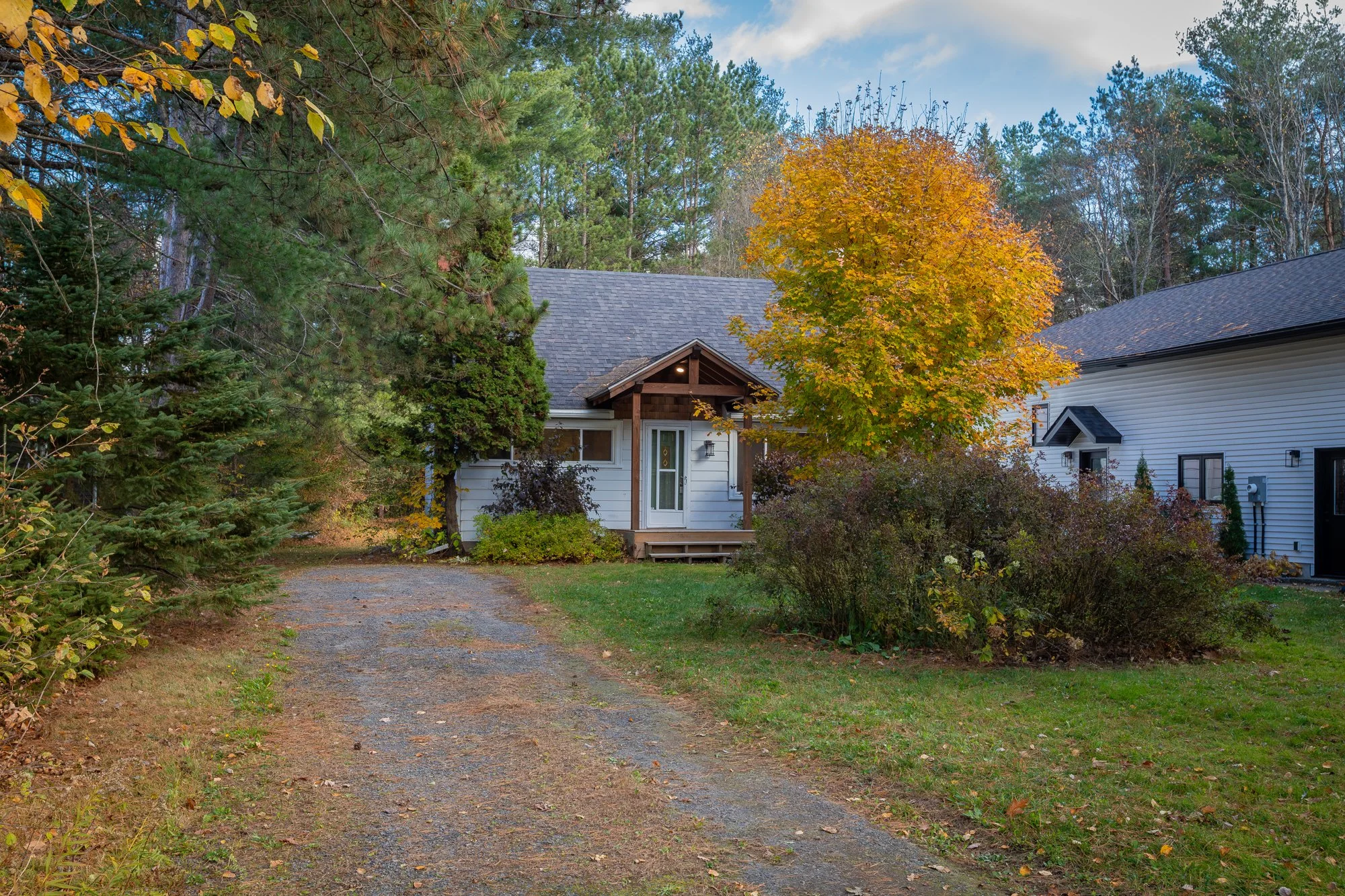 51 Gouldie Street, Huntsville-4.jpg