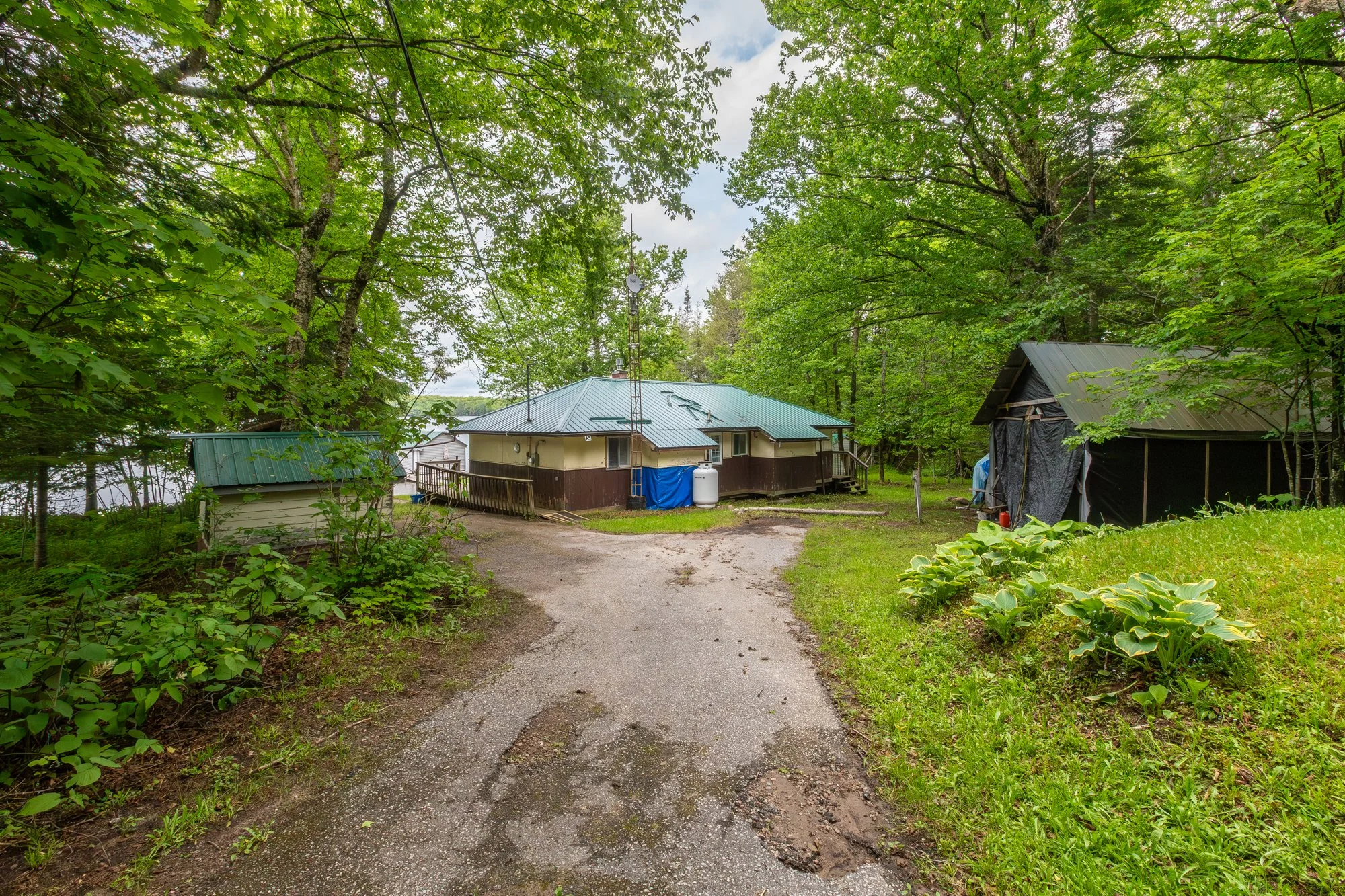 339 Sunnylea Avenue, Katrine-5.jpg