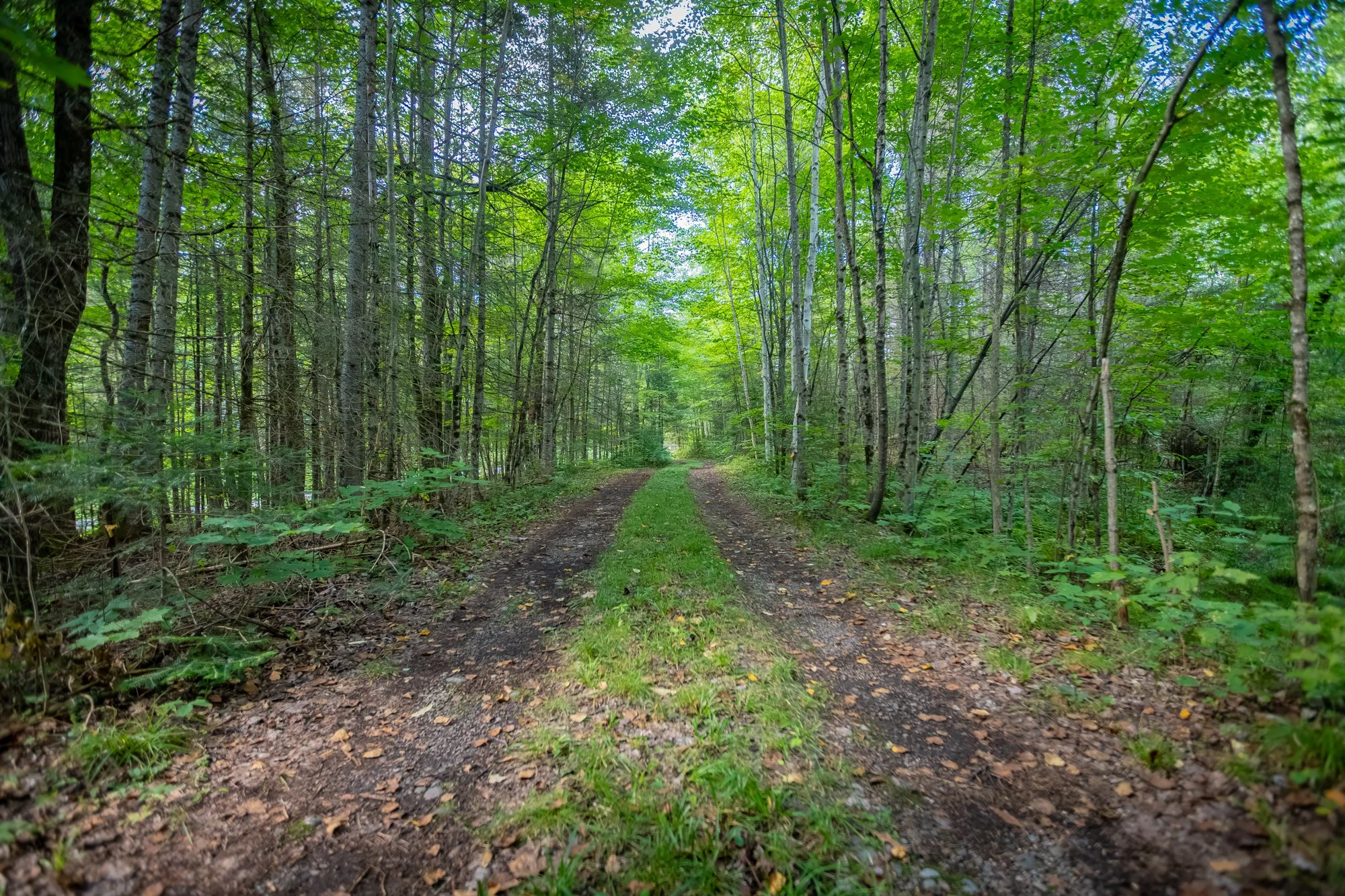 1547 North Pickerel Lake Road, Burk's Falls-2.jpg