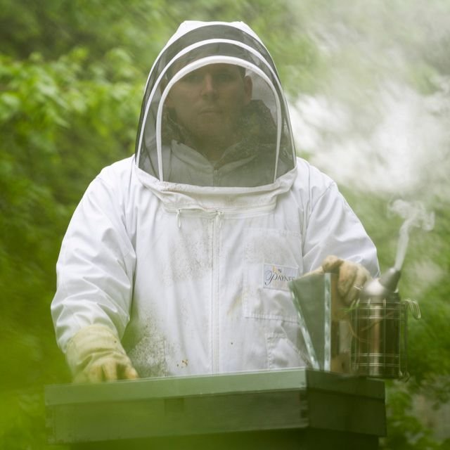 Beekeeping-Restaurant-Interlude-Forage.jpg