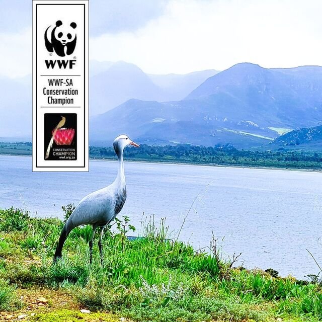 World’s-Best-Vineyards-2023-WWF-Conservation-Champions.jpg