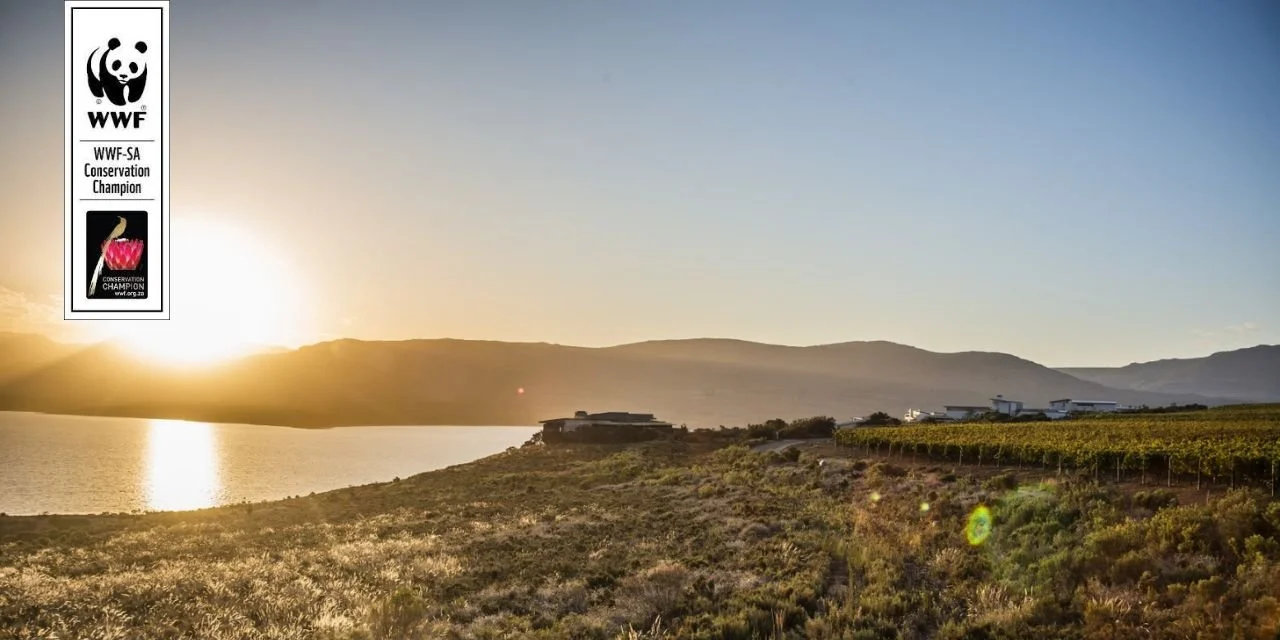 Conservation and Sustainable Wine Tourism