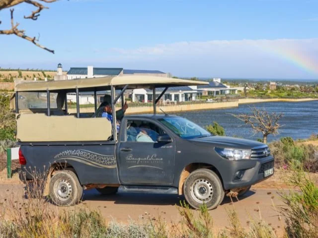 Benguela Cove iNaturalist