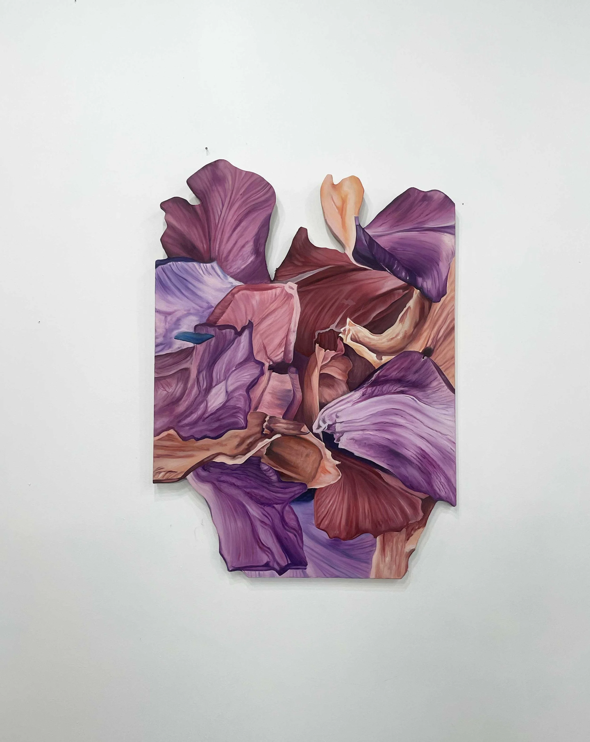 Expressions of Limitations