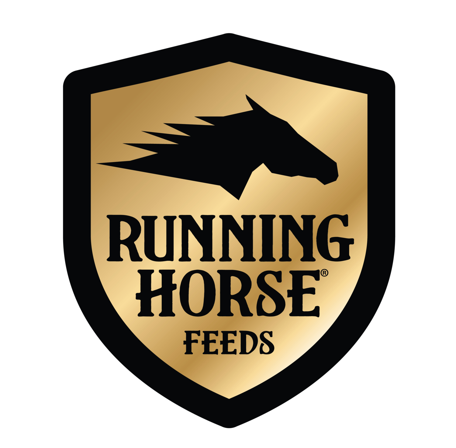 Running Horse