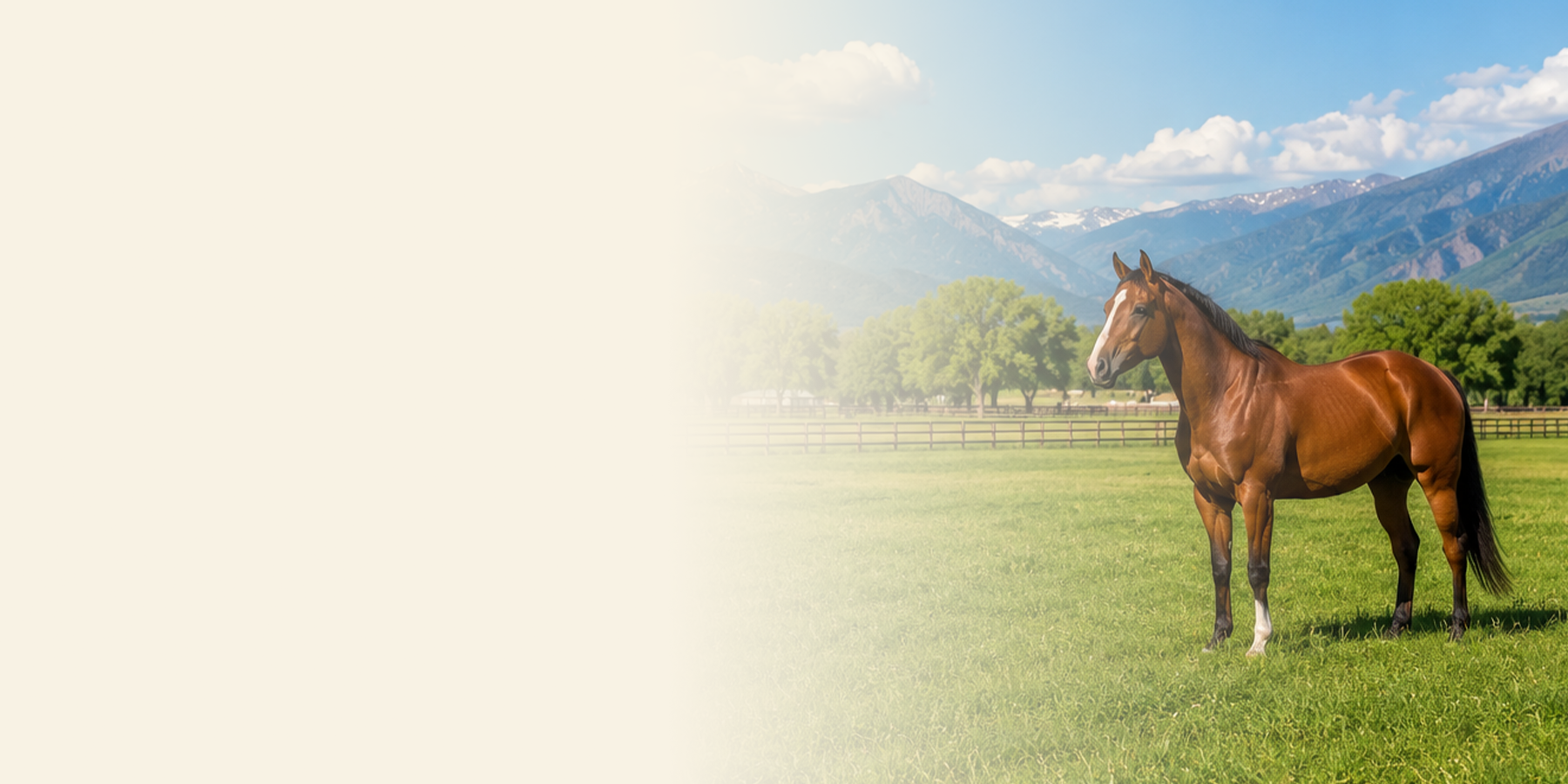 Trail Mix Horse Feed