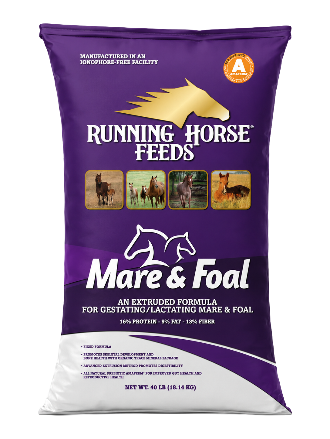 Running Horse Mare and Foal Horse Feed