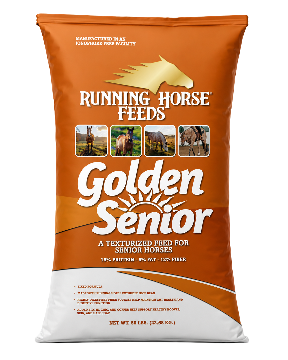 GOLDEN SENIOR