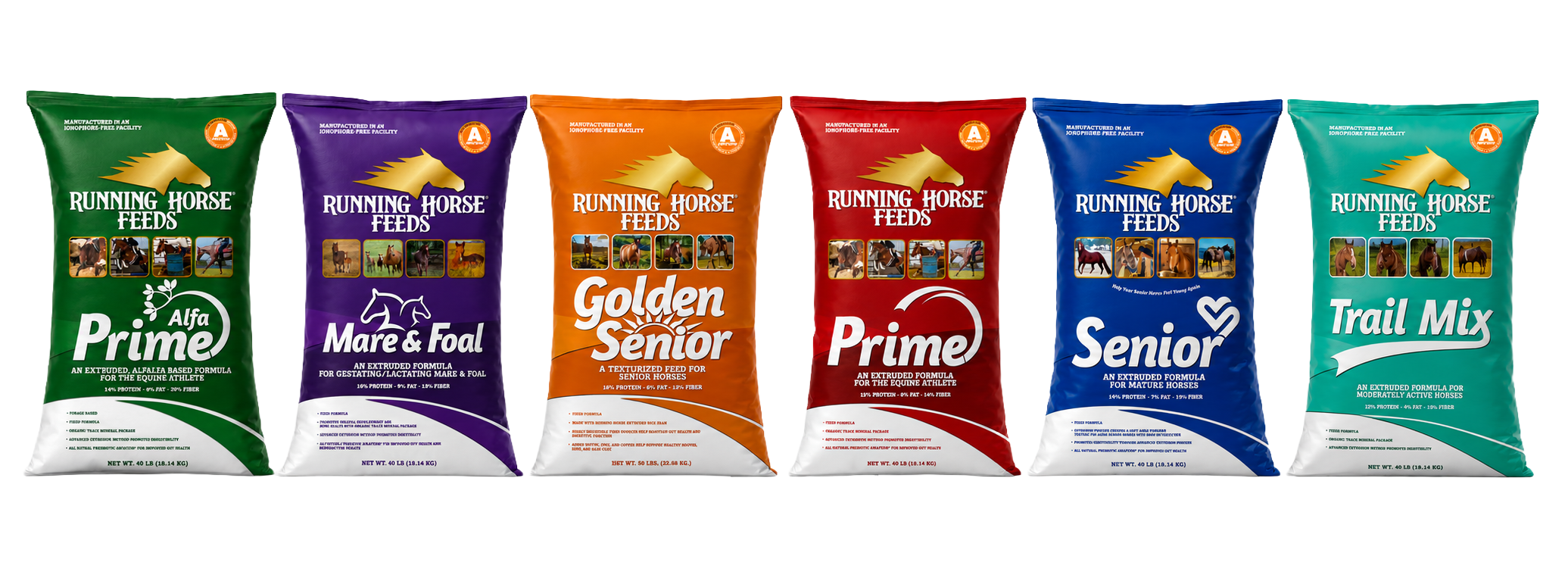 Running Horse Feeds Group Imag