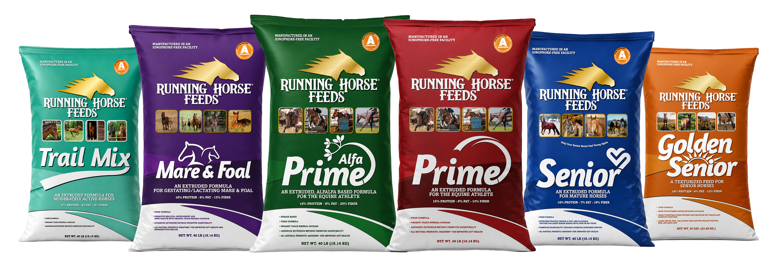 Running Horse Feeds Group